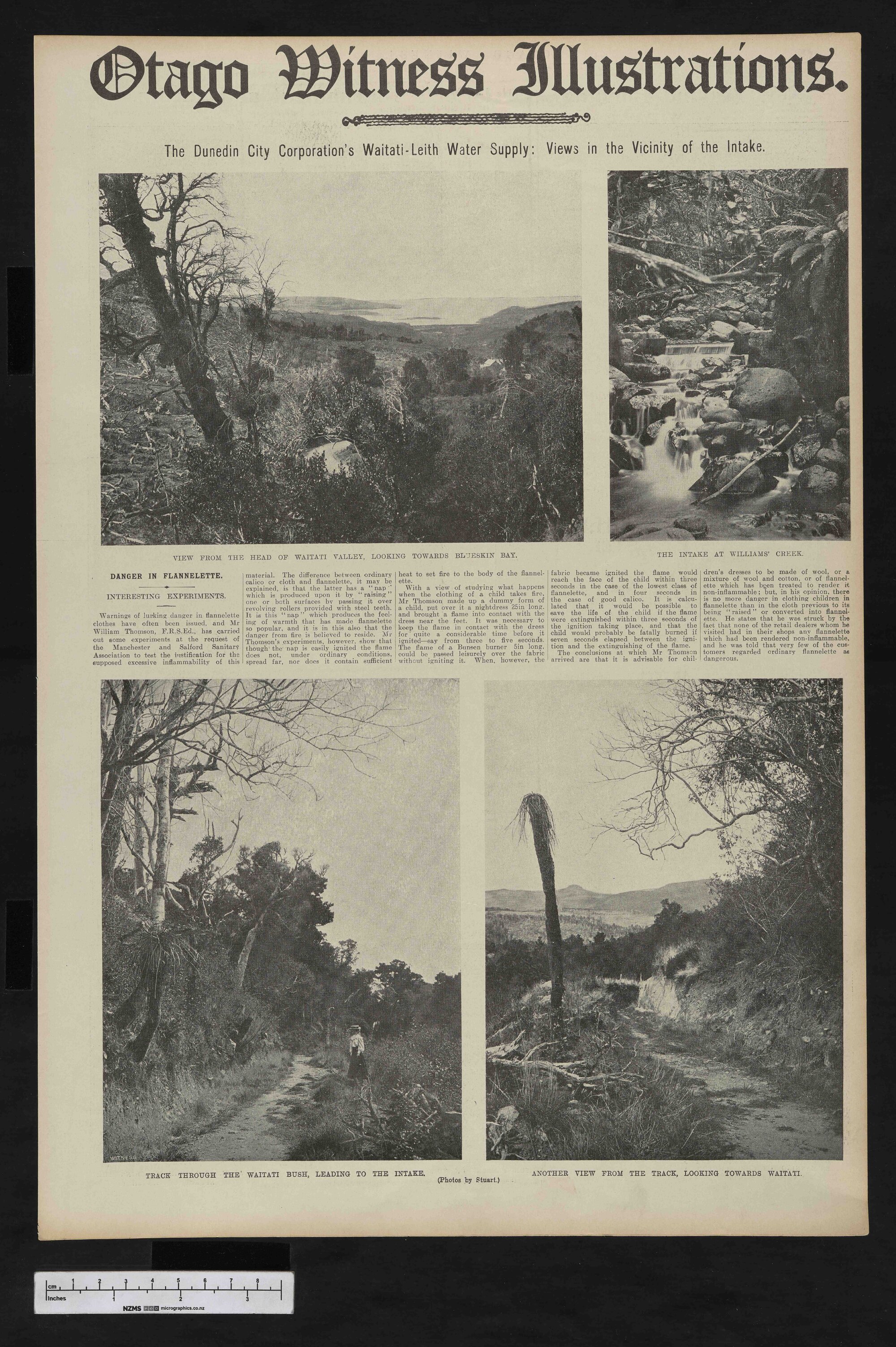 1908-01-29 Otago Witness