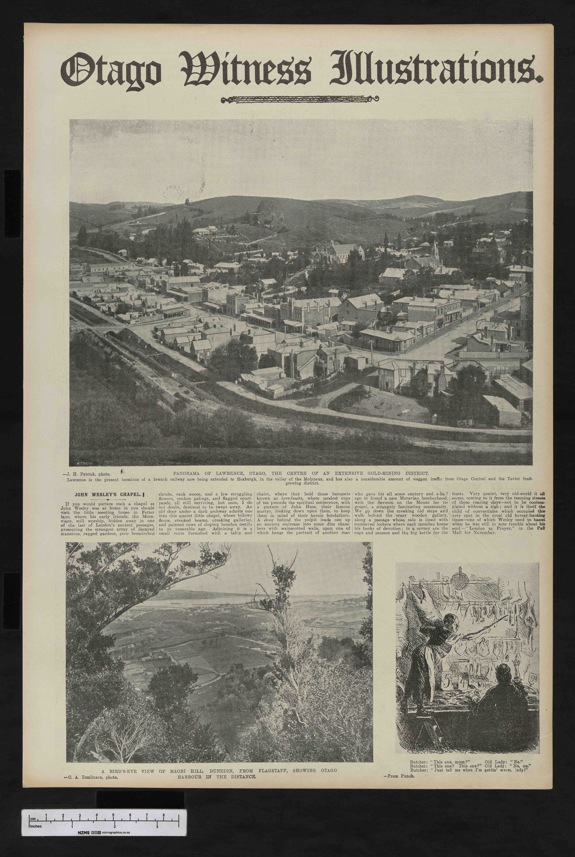 1908-02-05 Otago Witness