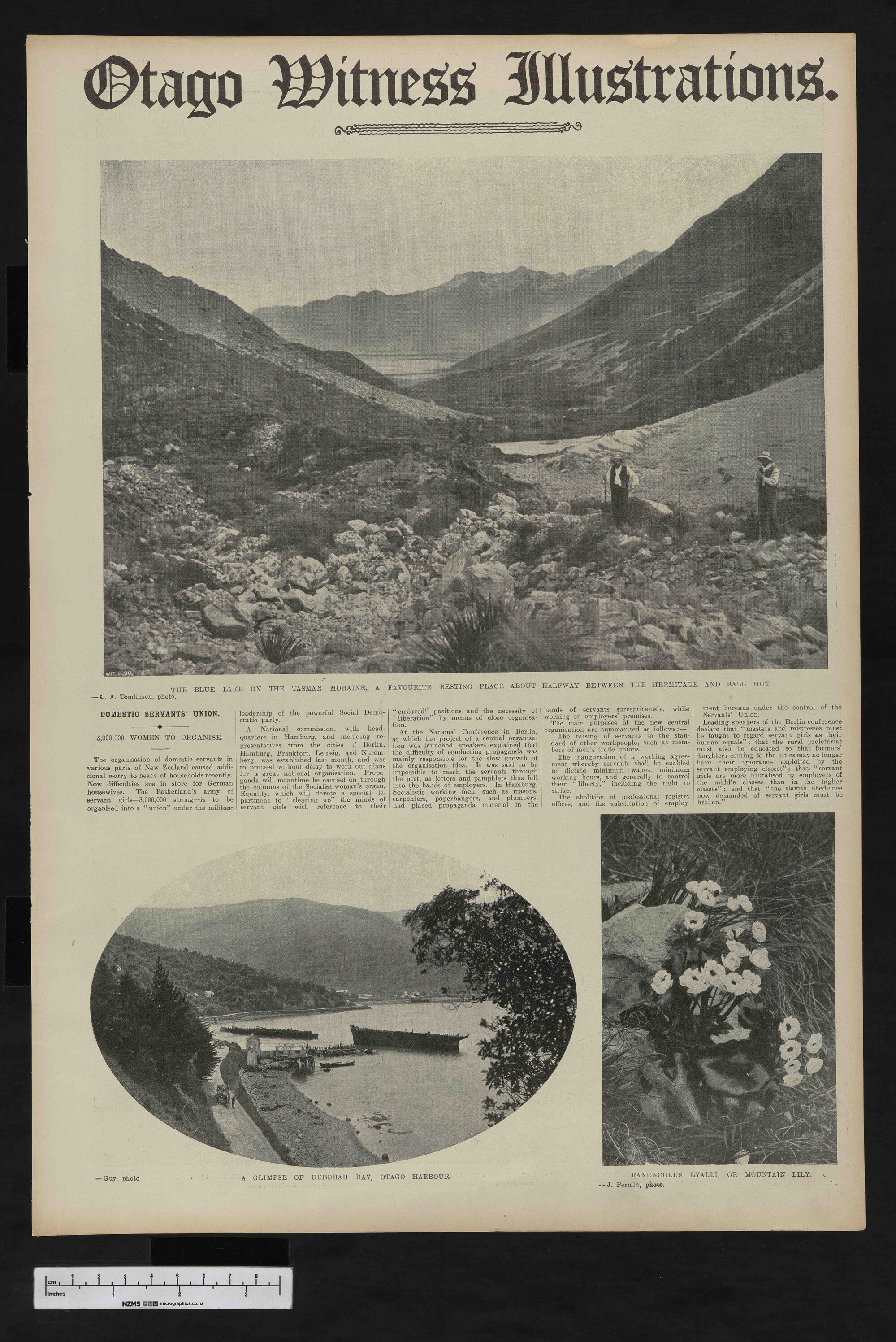 1908-02-19 Otago Witness