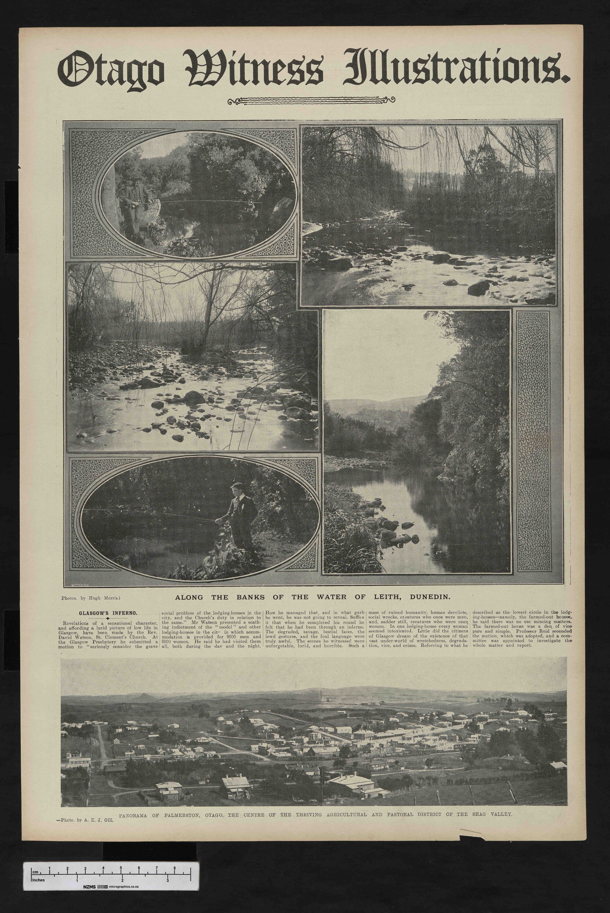 1908-03-04 Otago Witness