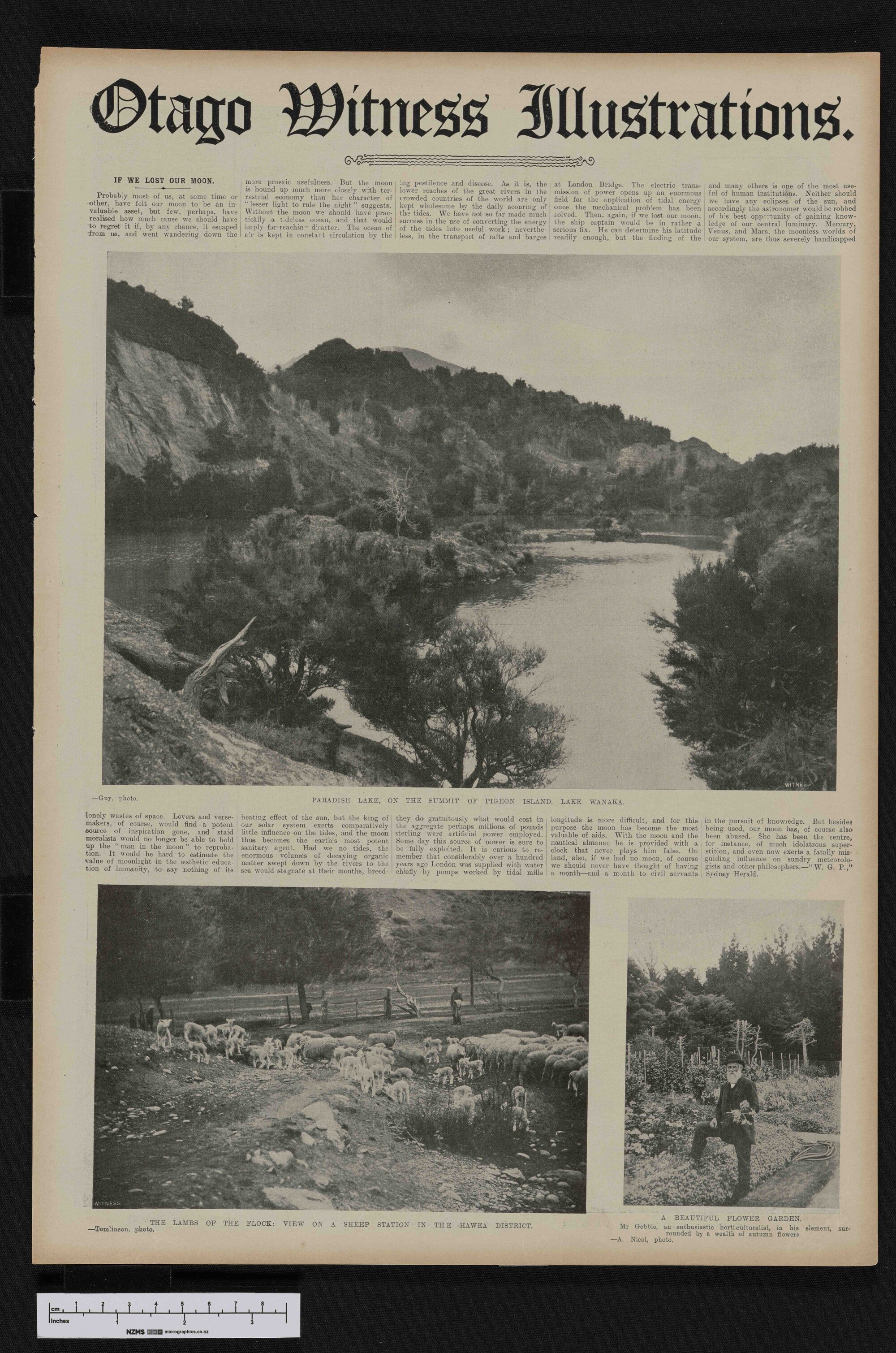 1908-04-01 Otago Witness