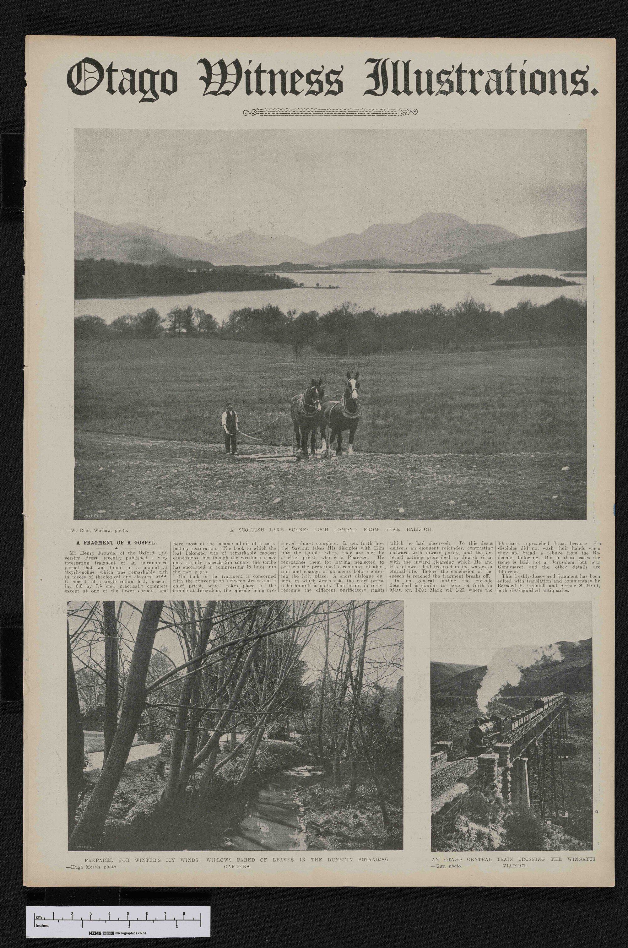 1908-04-29 Otago Witness