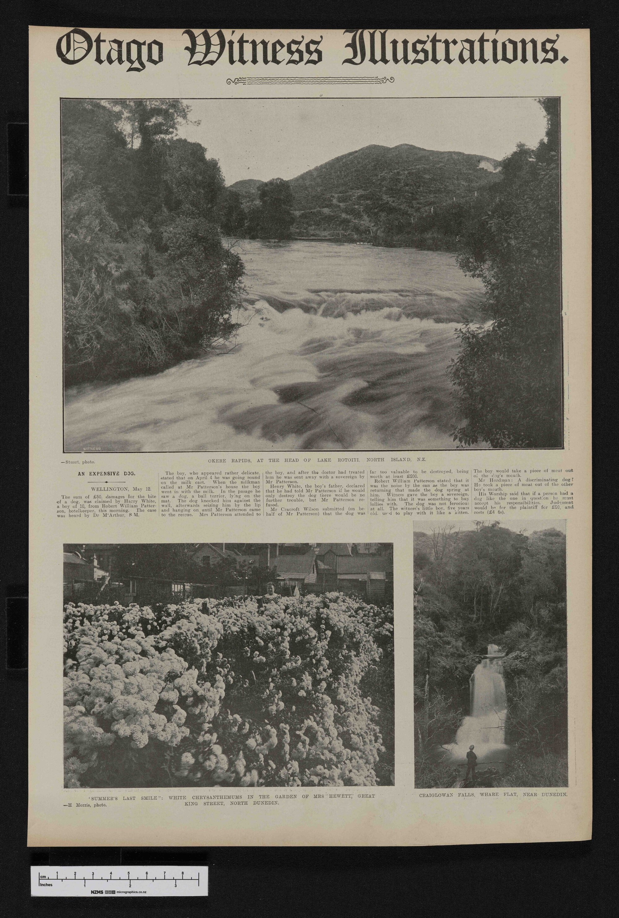 1908-05-27 Otago Witness