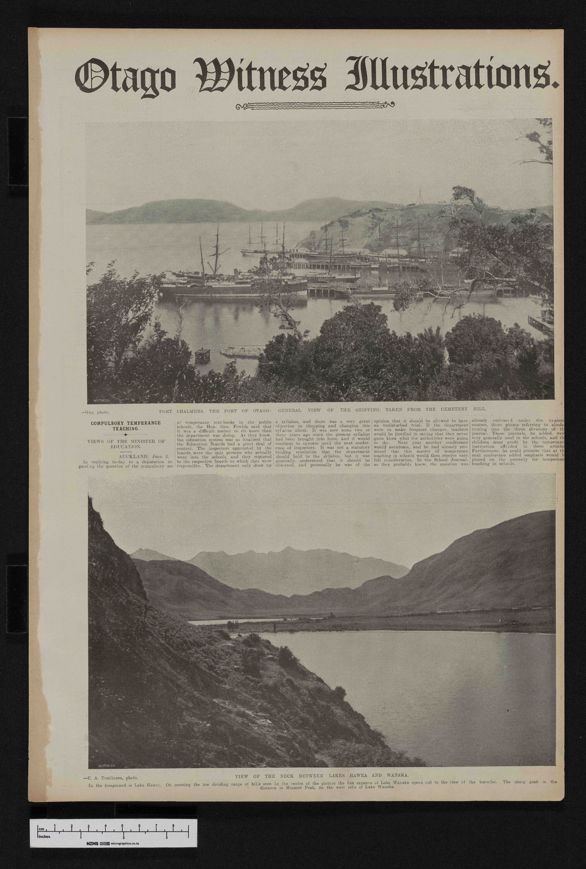 1908-06-10 Otago Witness