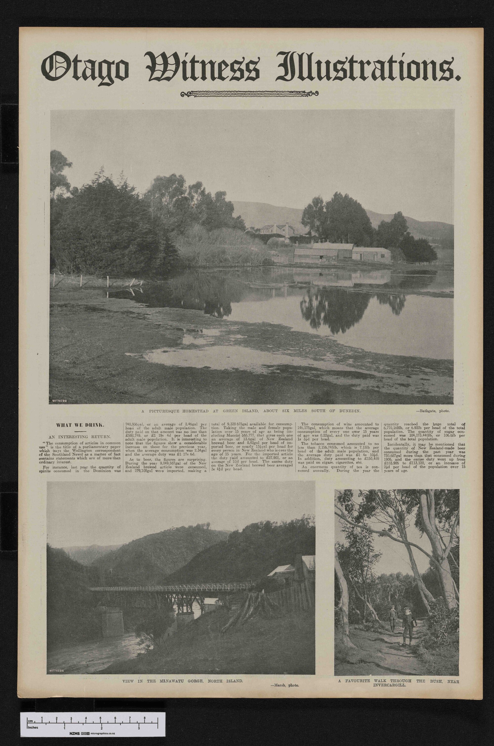 1908-08-05 Otago Witness