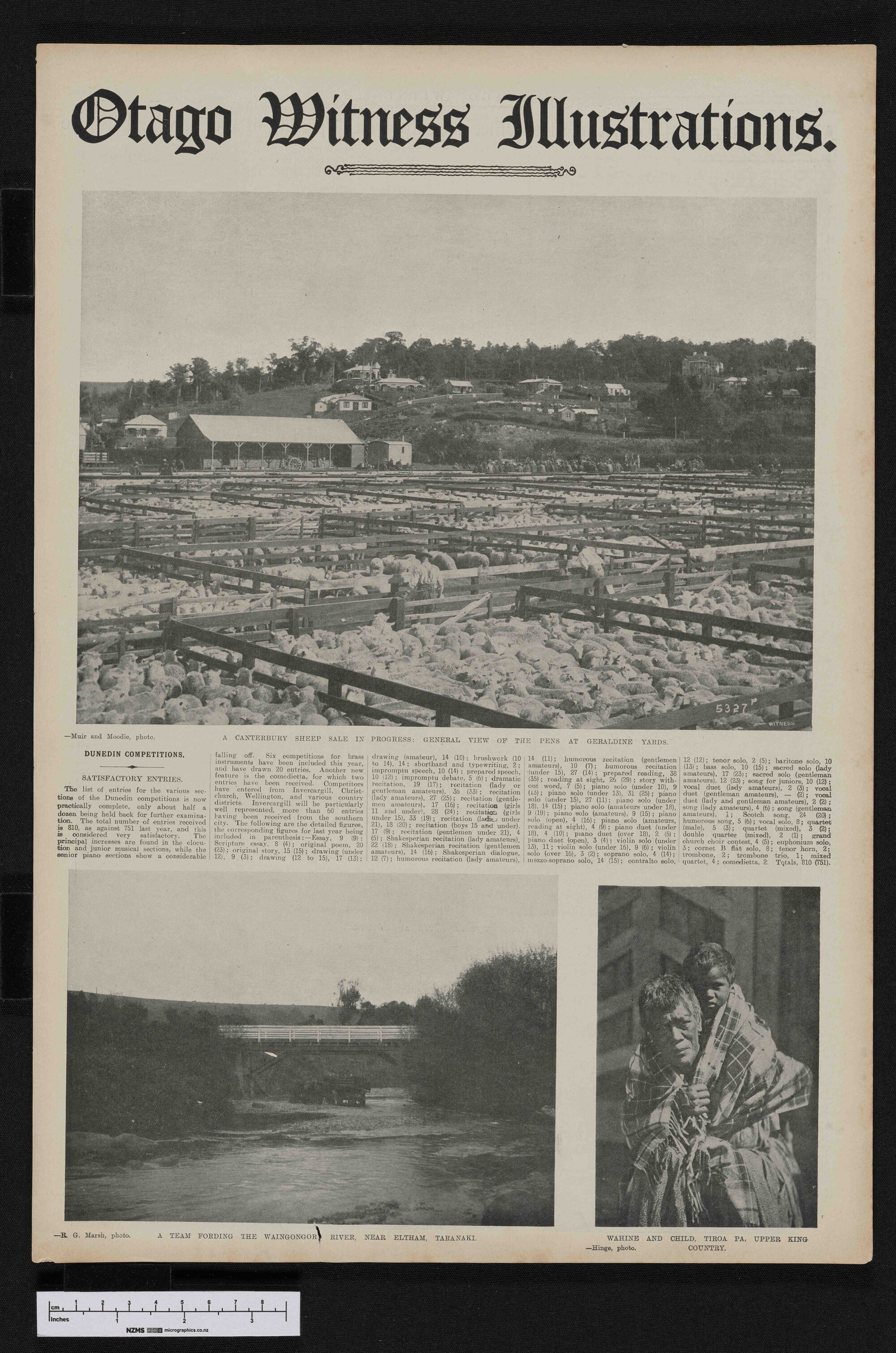 1908-08-26 Otago Witness