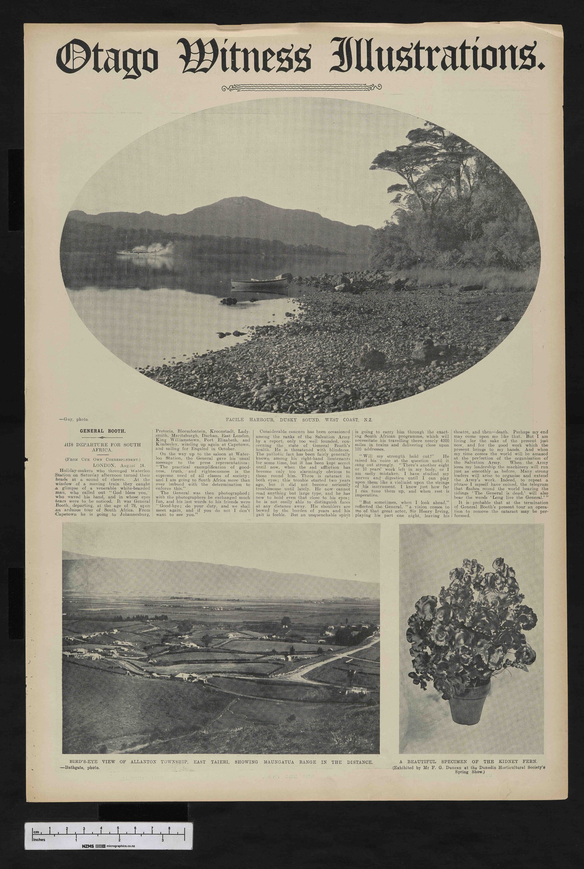 1908-10-14 Otago Witness