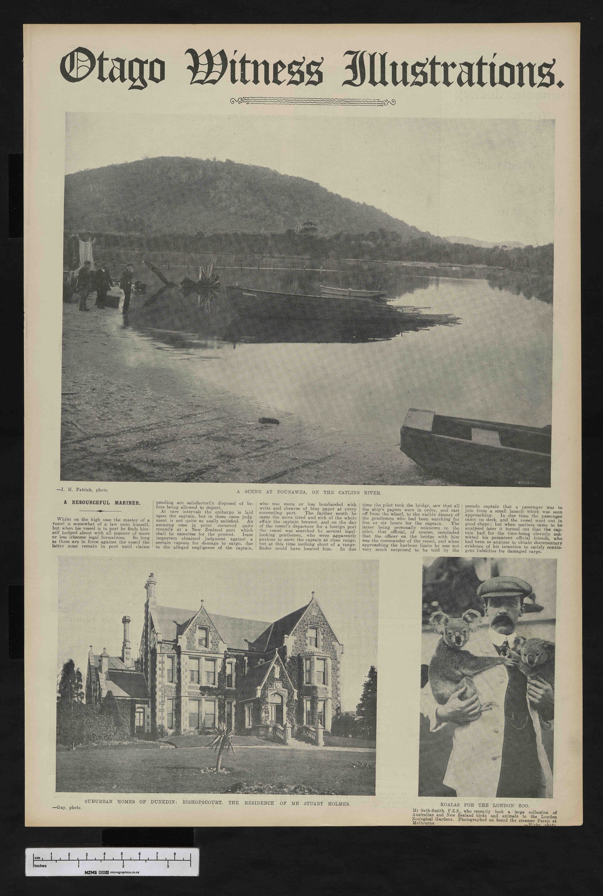 1908-10-21 Otago Witness