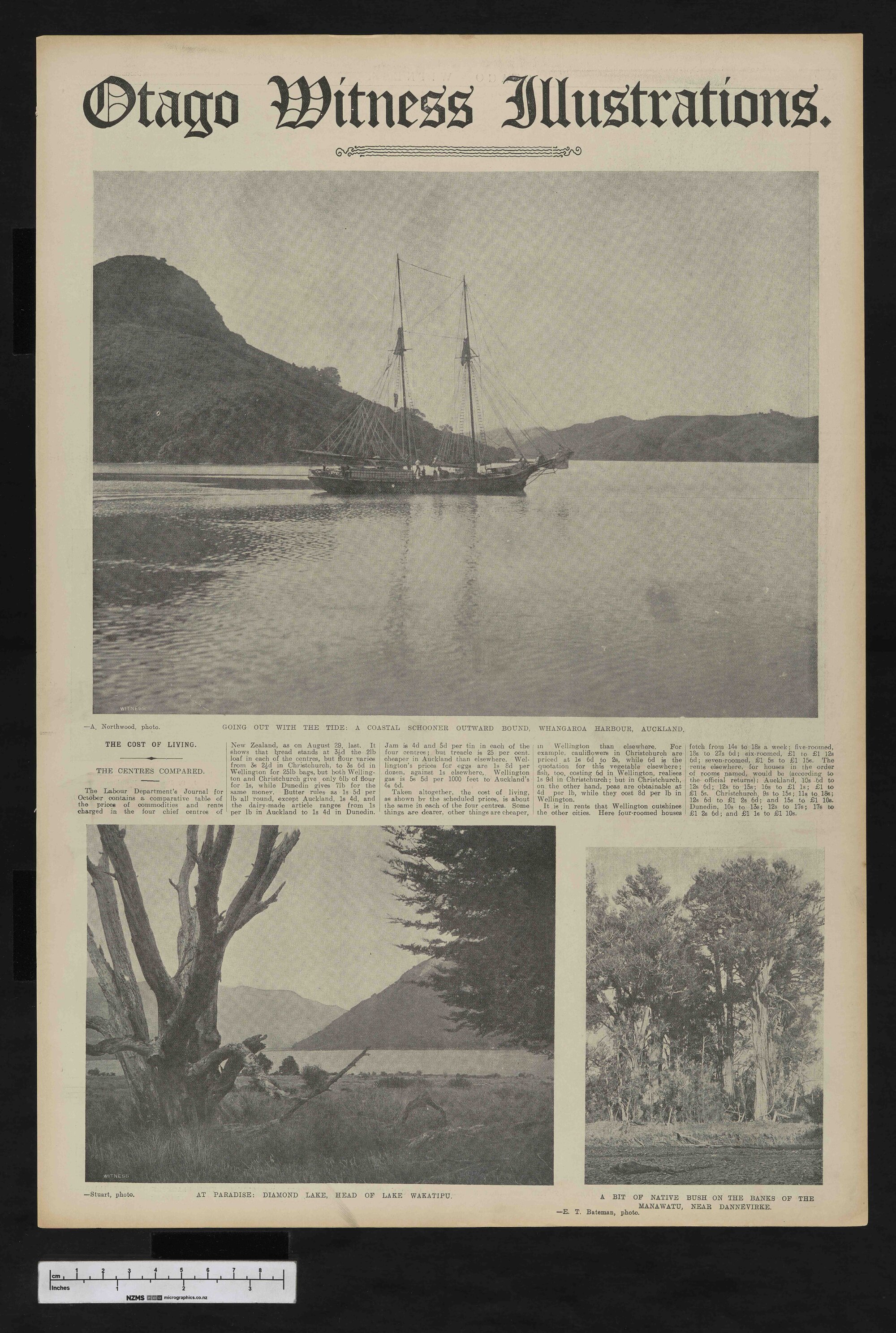 1908-10-28 Otago Witness