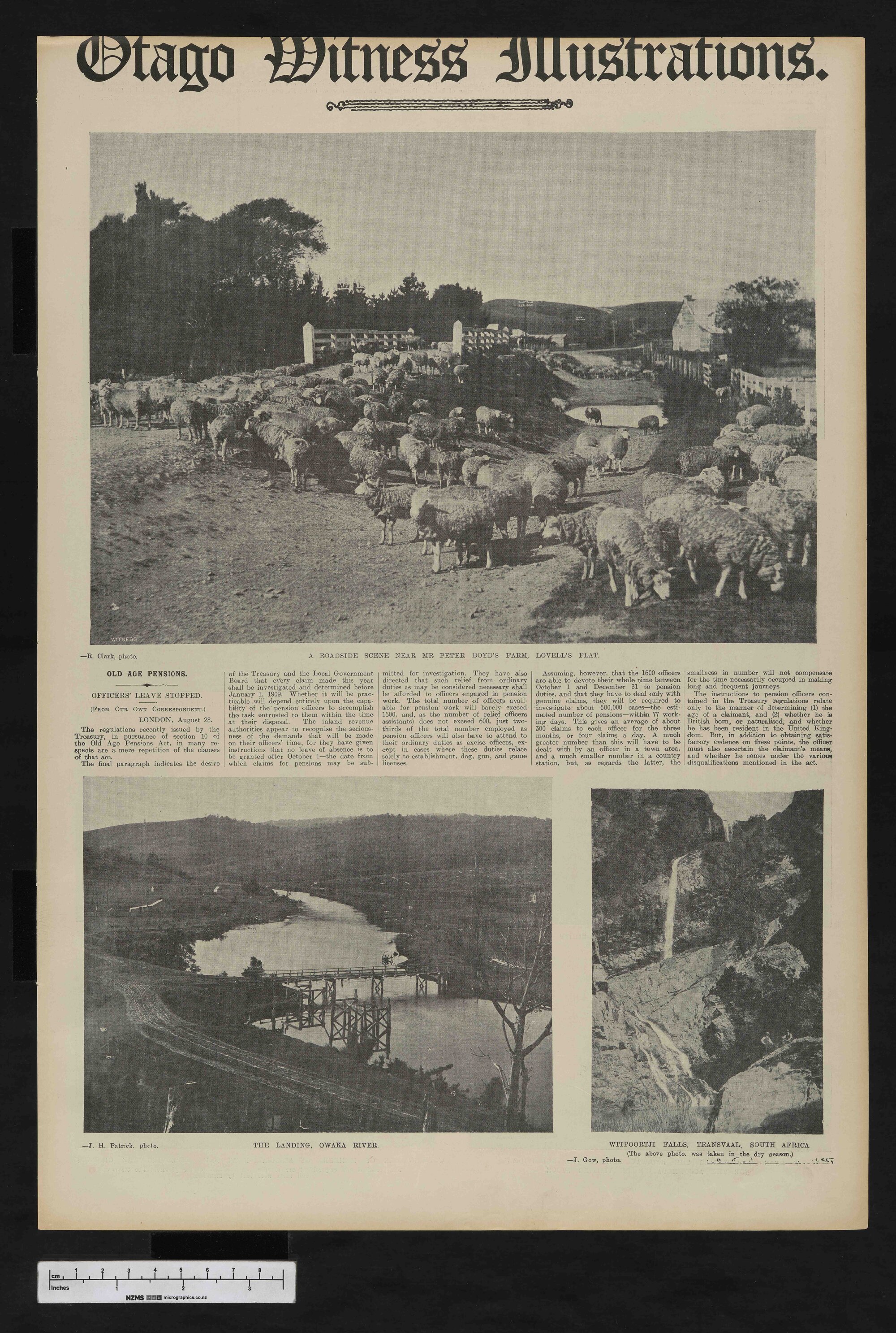 1908-11-04 Otago Witness