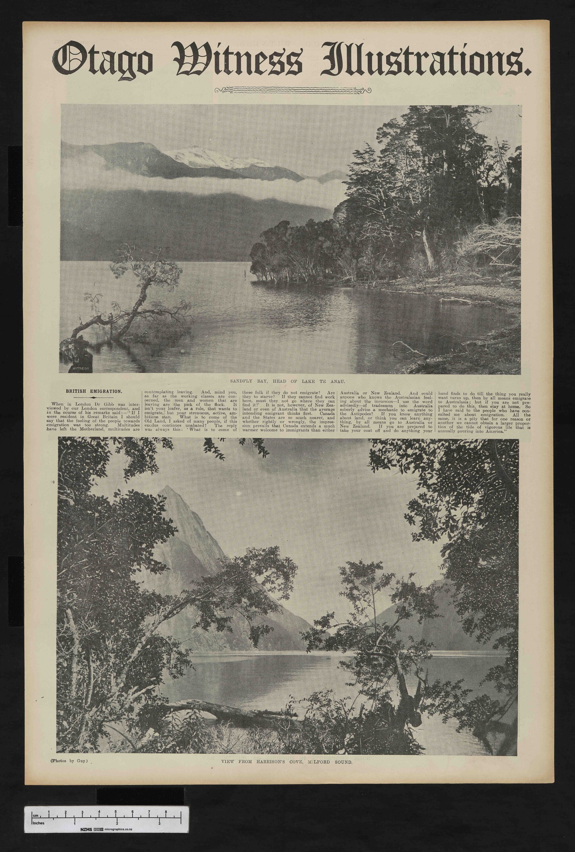 1908-11-25 Otago Witness