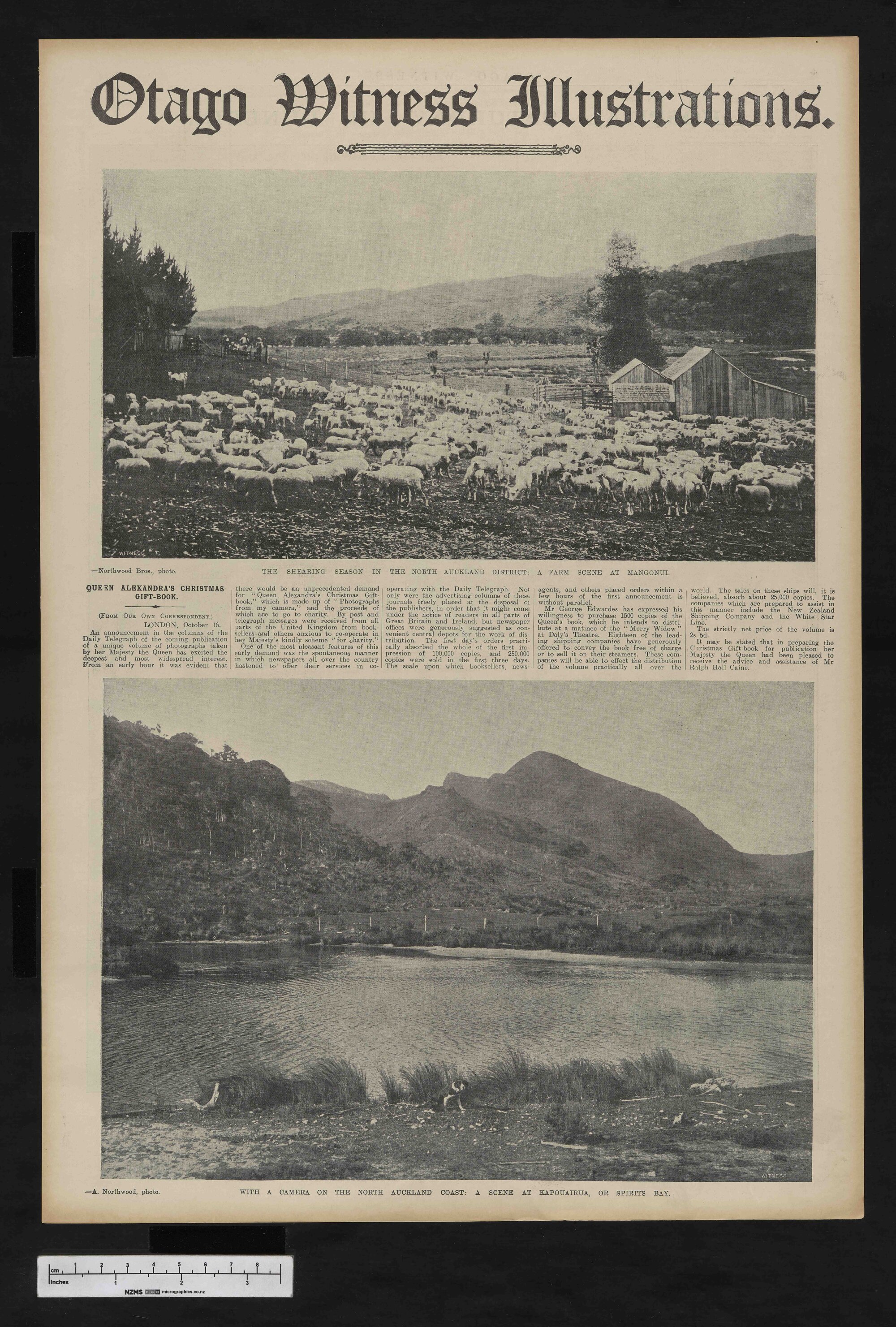 1908-12-09 Otago Witness
