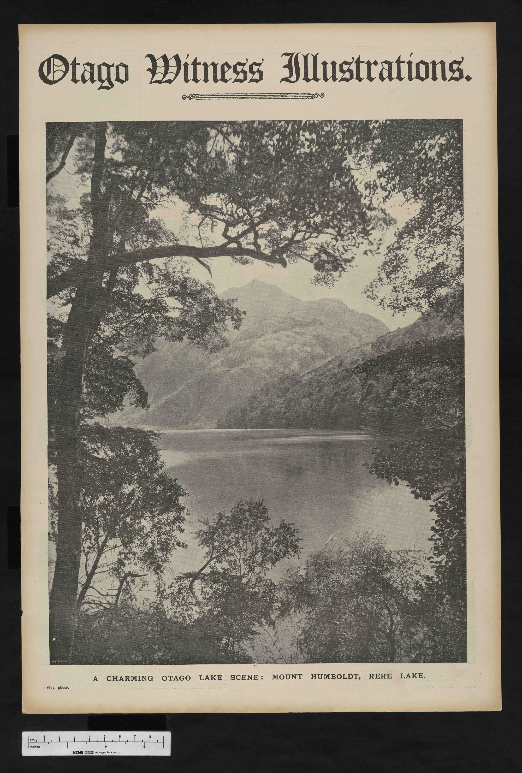 1908-12-23 Otago Witness