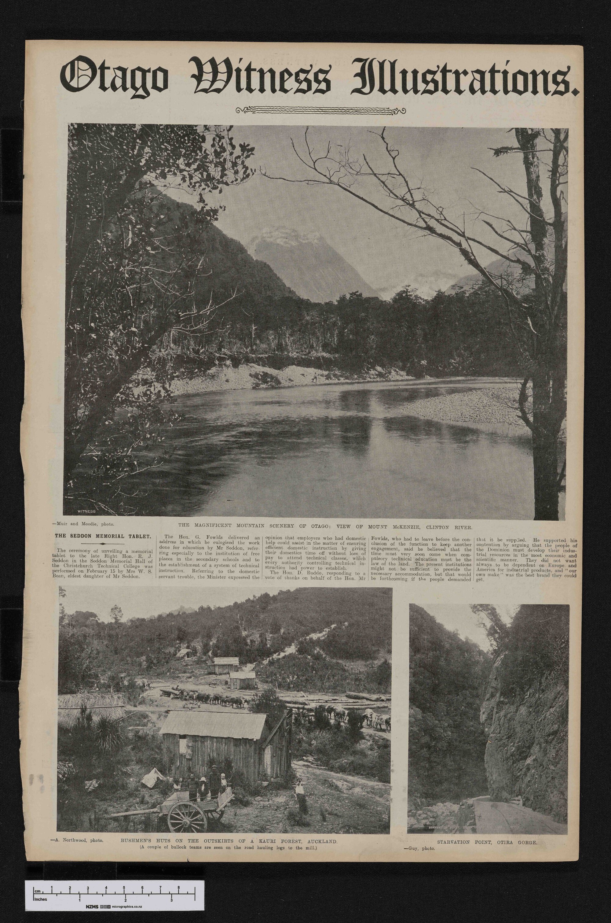 1909-02-24 Otago Witness