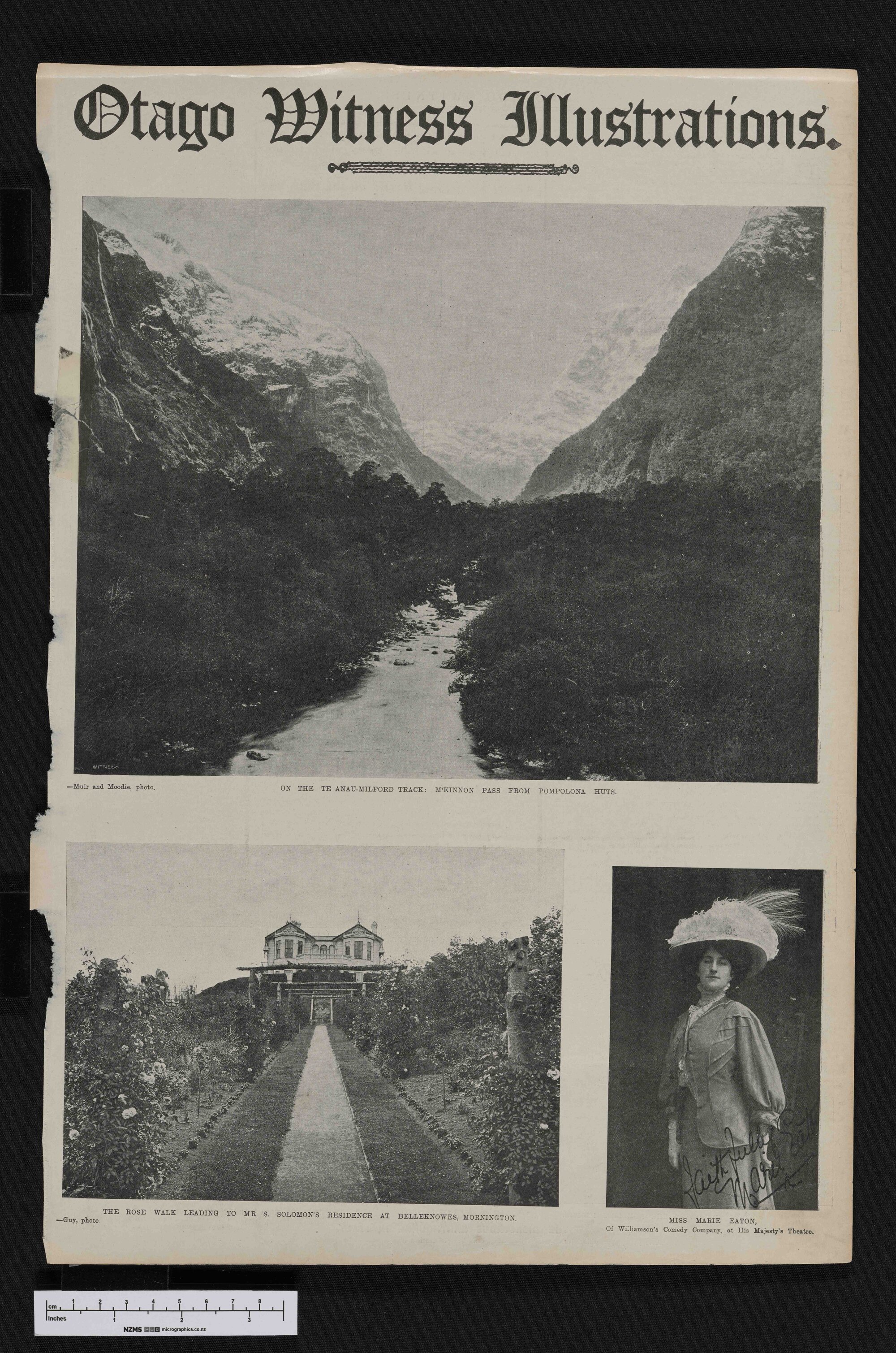 1909-03-10 Otago Witness