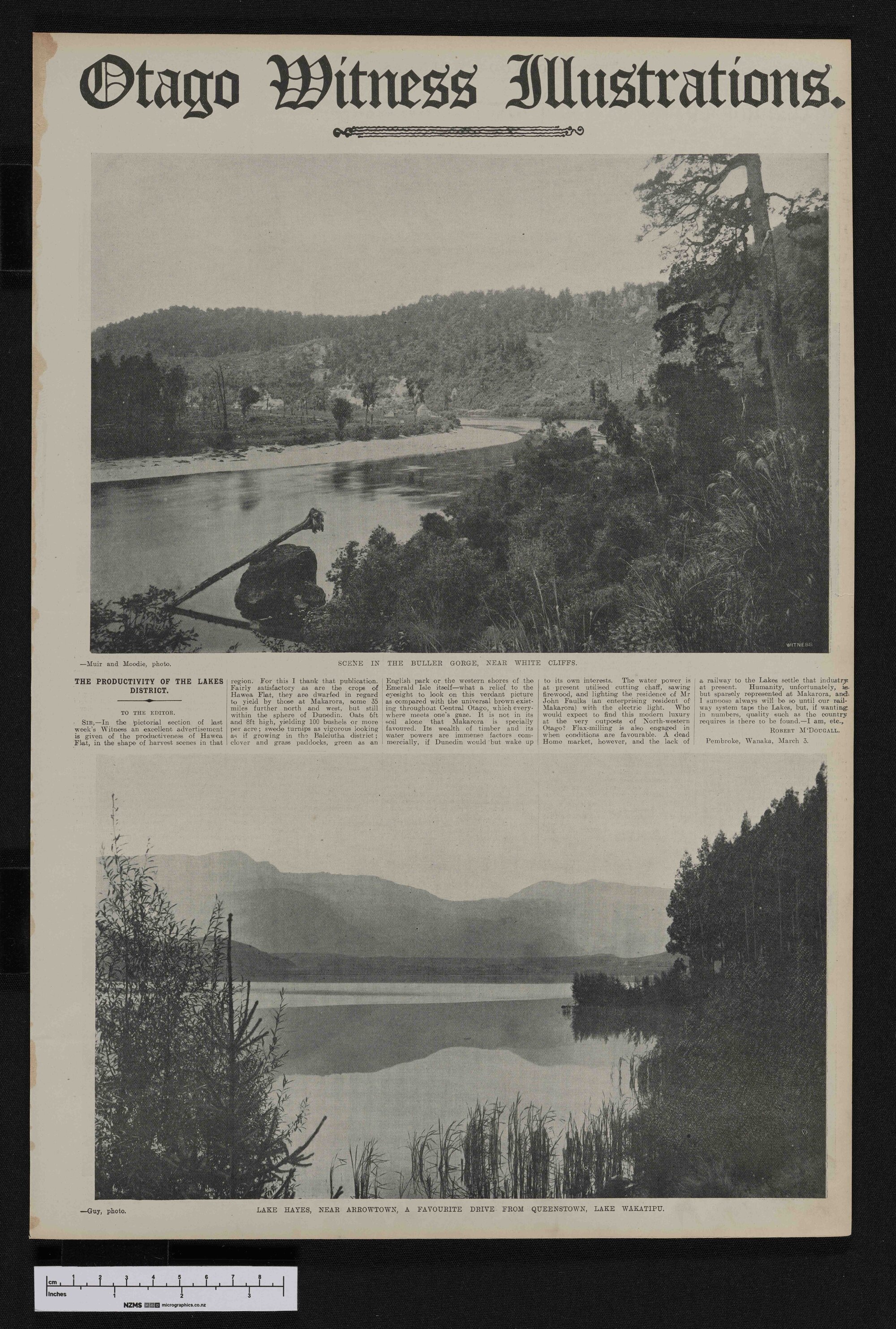 1909-03-17 Otago Witness