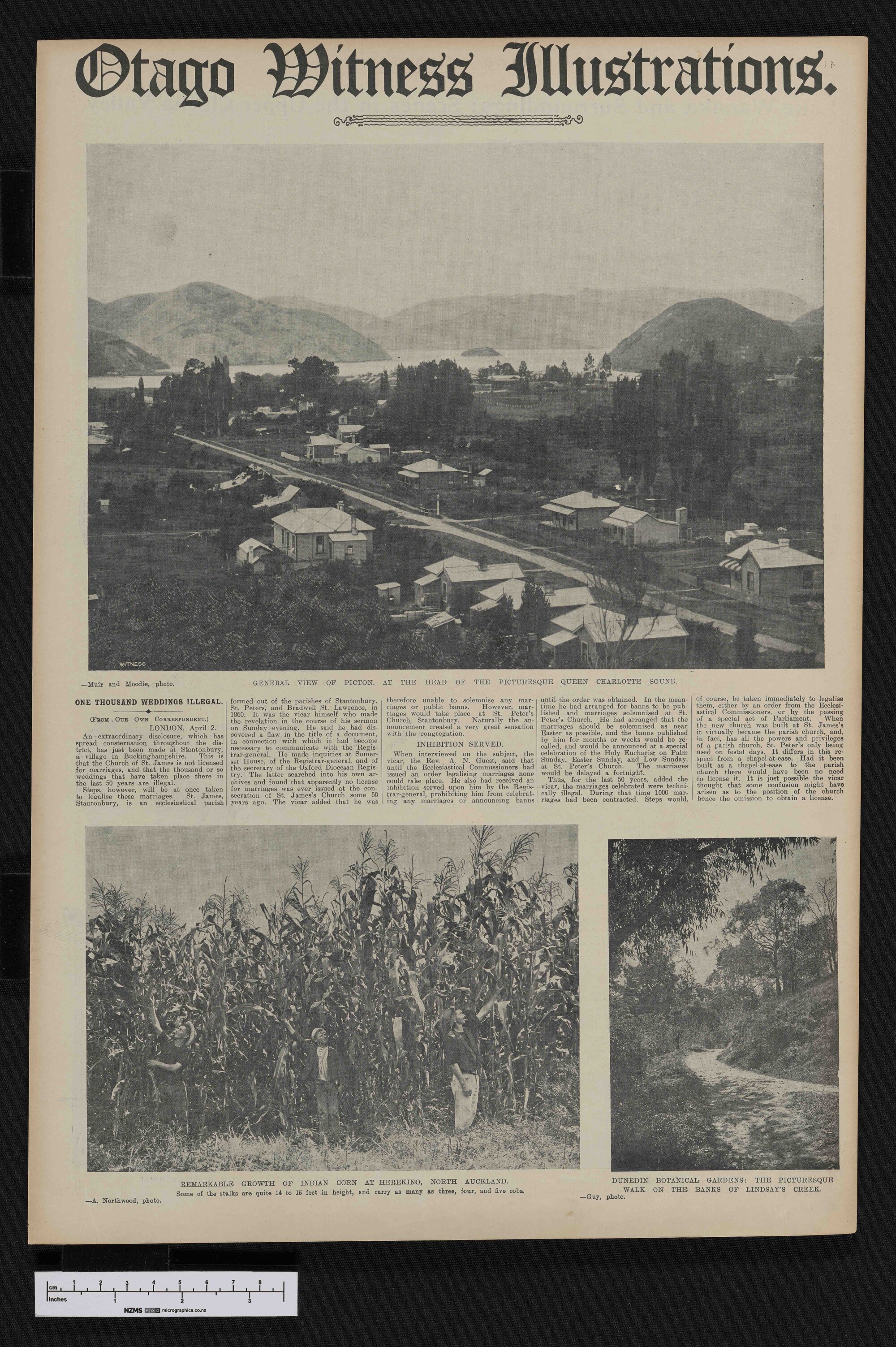 1909-06-02 Otago Witness