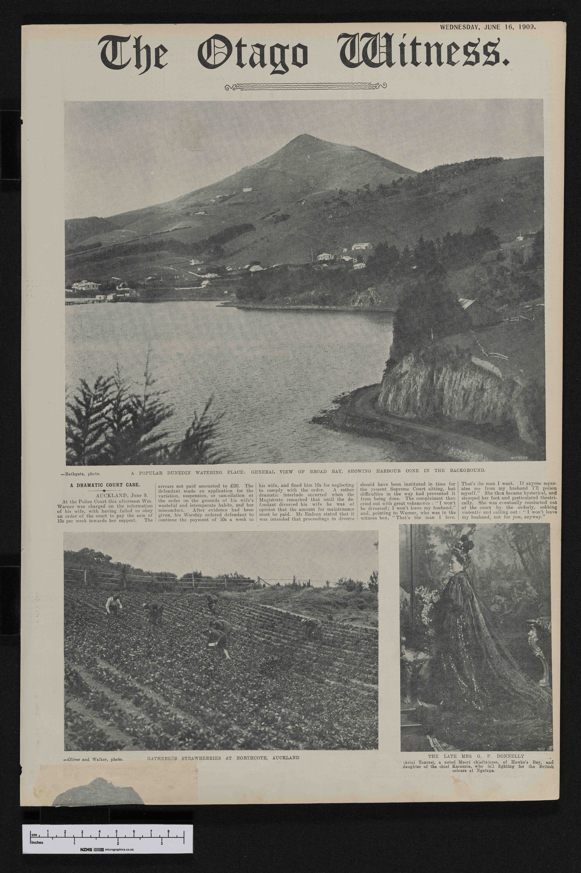 1909-06-16 Otago Witness