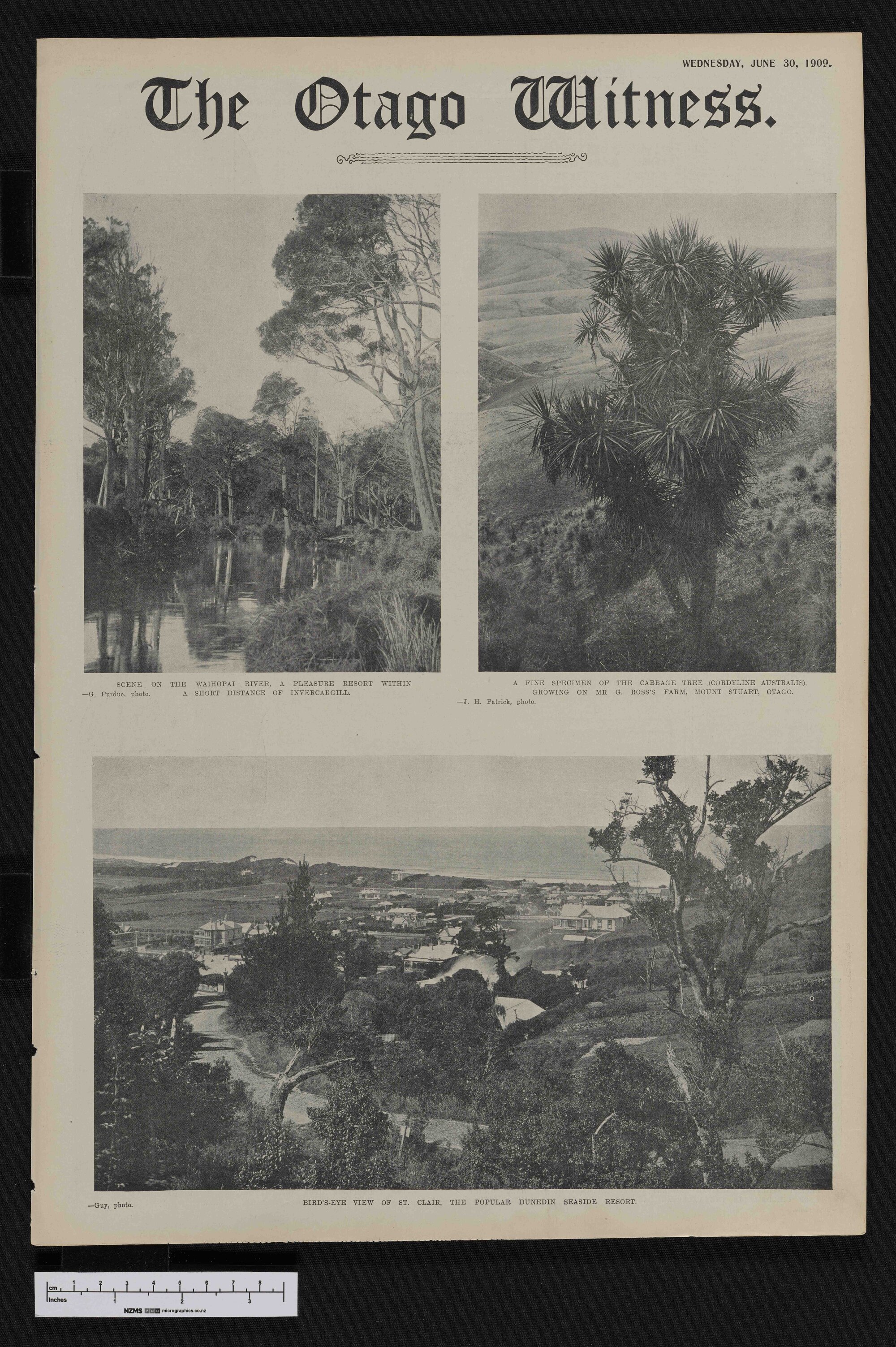 1909-06-30 Otago Witness