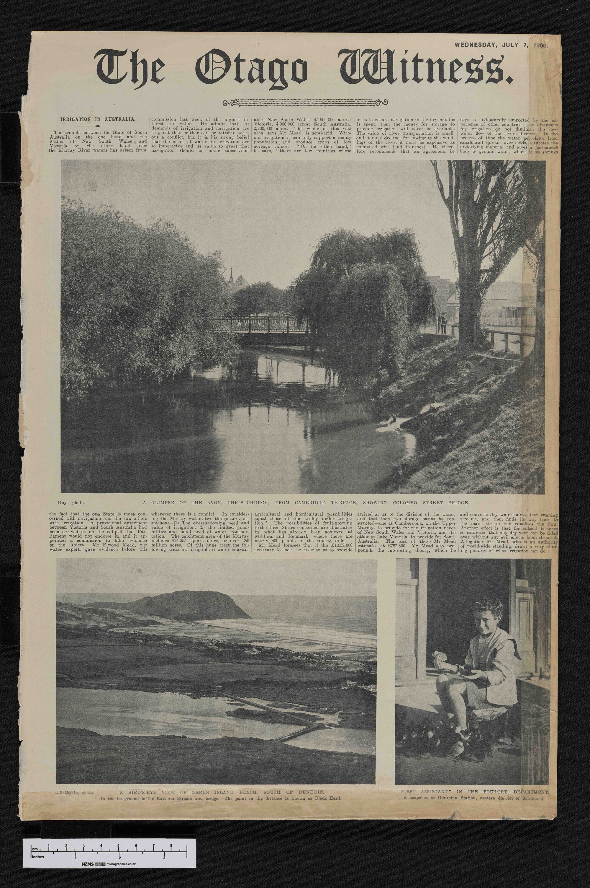 1909-07-07 Otago Witness