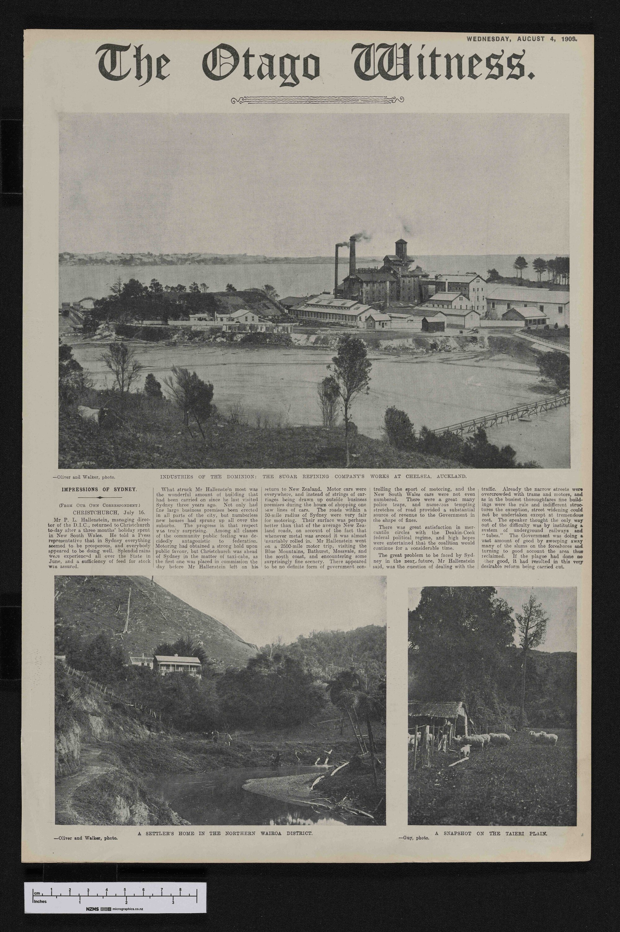 1909-08-04 Otago Witness