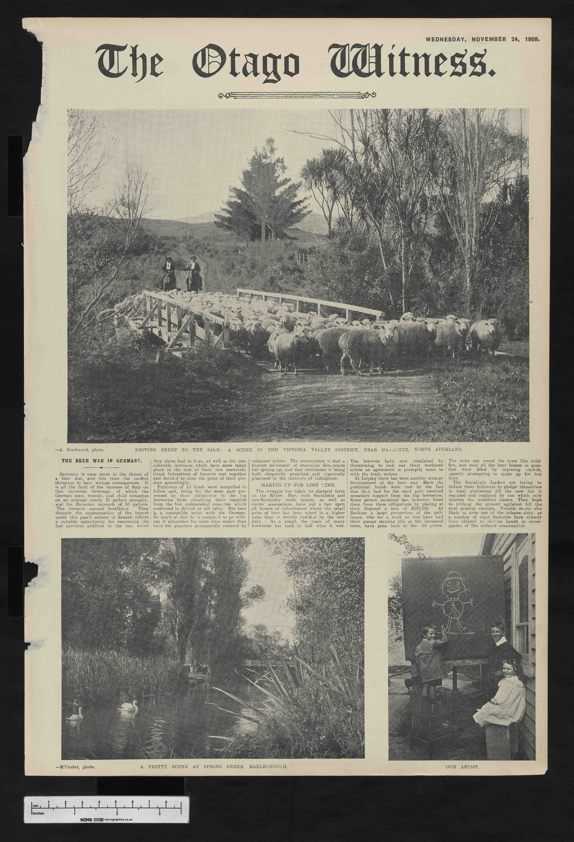 1909-11-24 Otago Witness