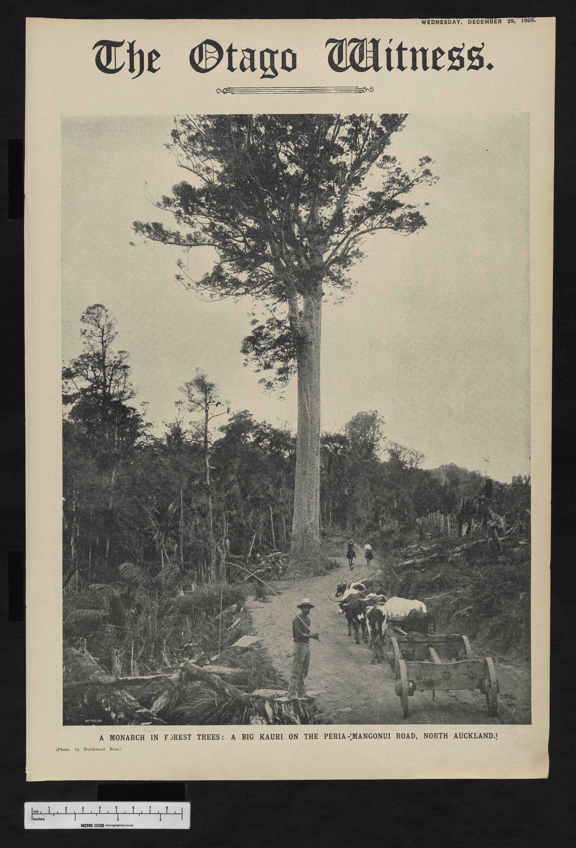 1909-12-30 Otago Witness