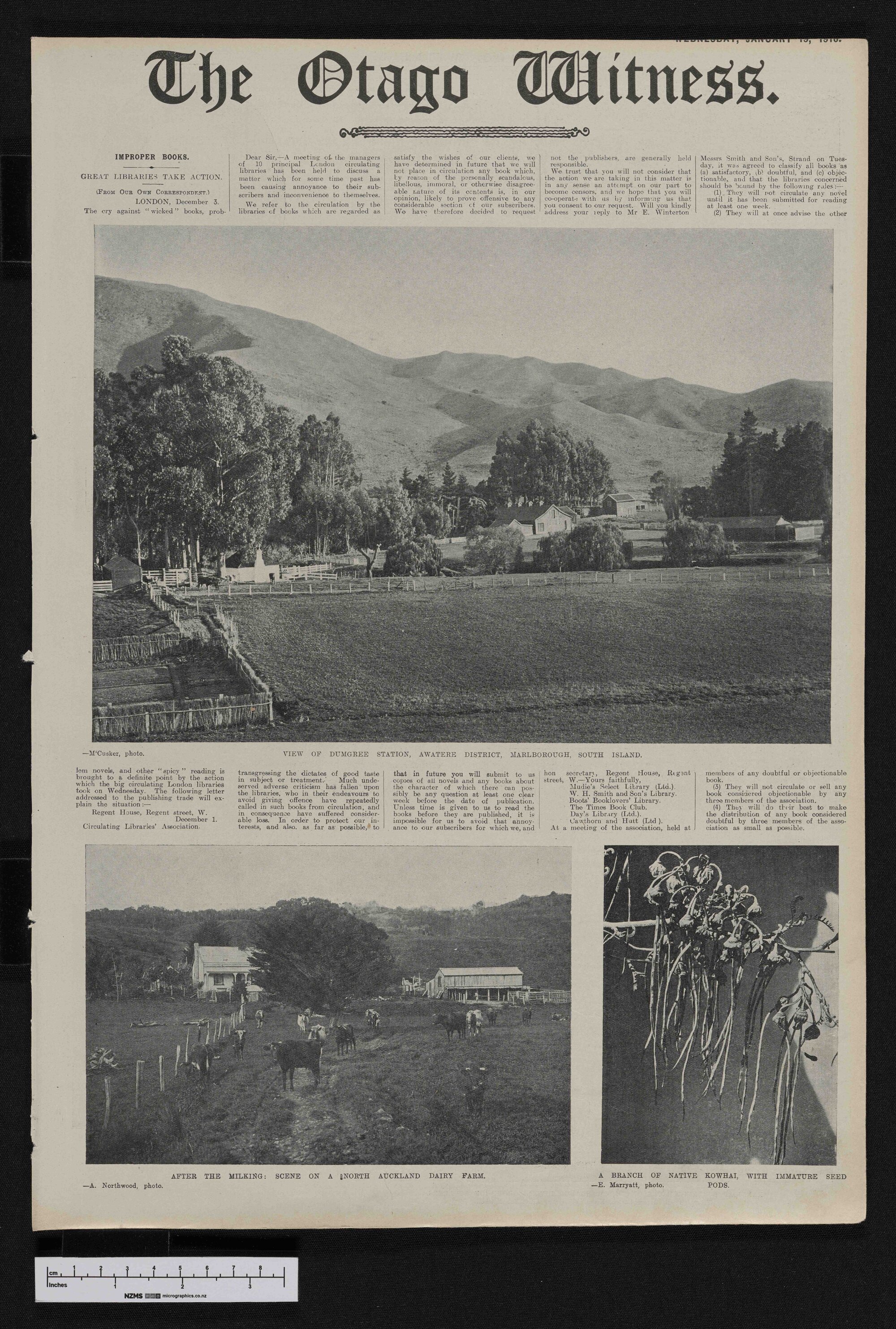 1910-01-19 Otago Witness