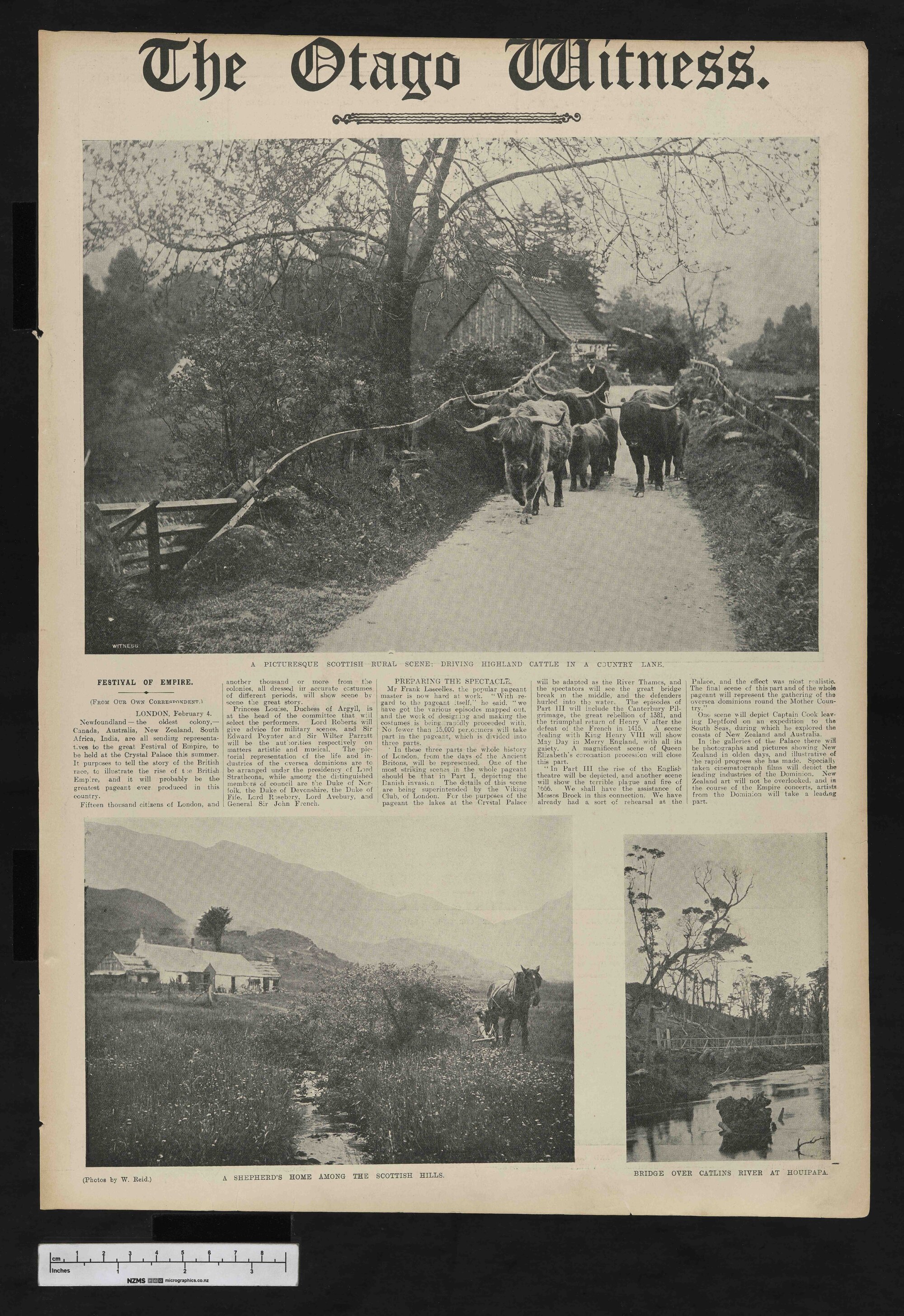 1910-04-06 Otago Witness