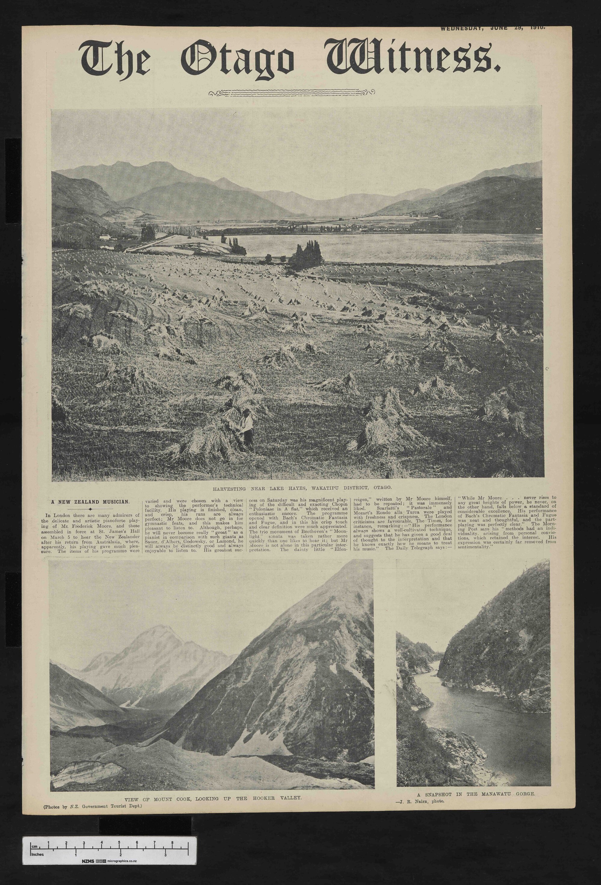 1910-06-29 Otago Witness