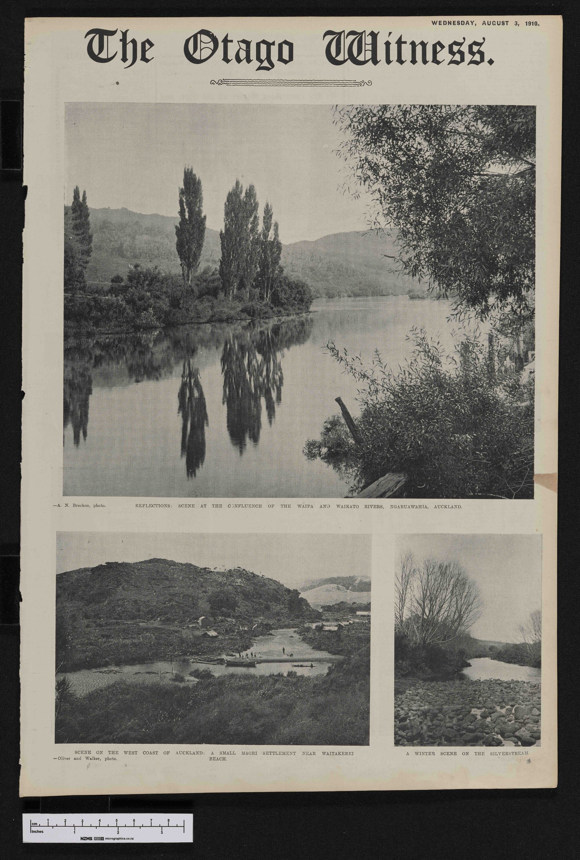 1910-08-03 Otago Witness