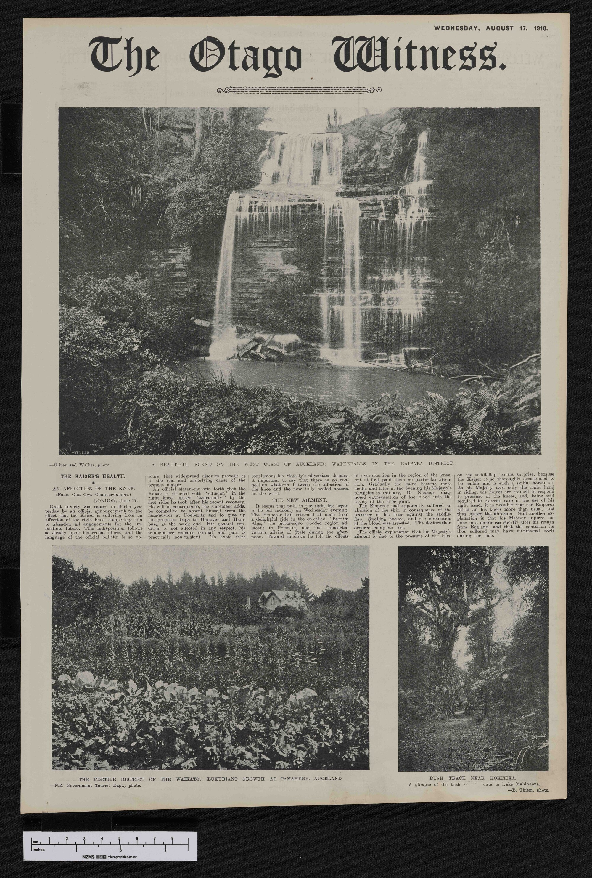 1910-08-17 Otago Witness