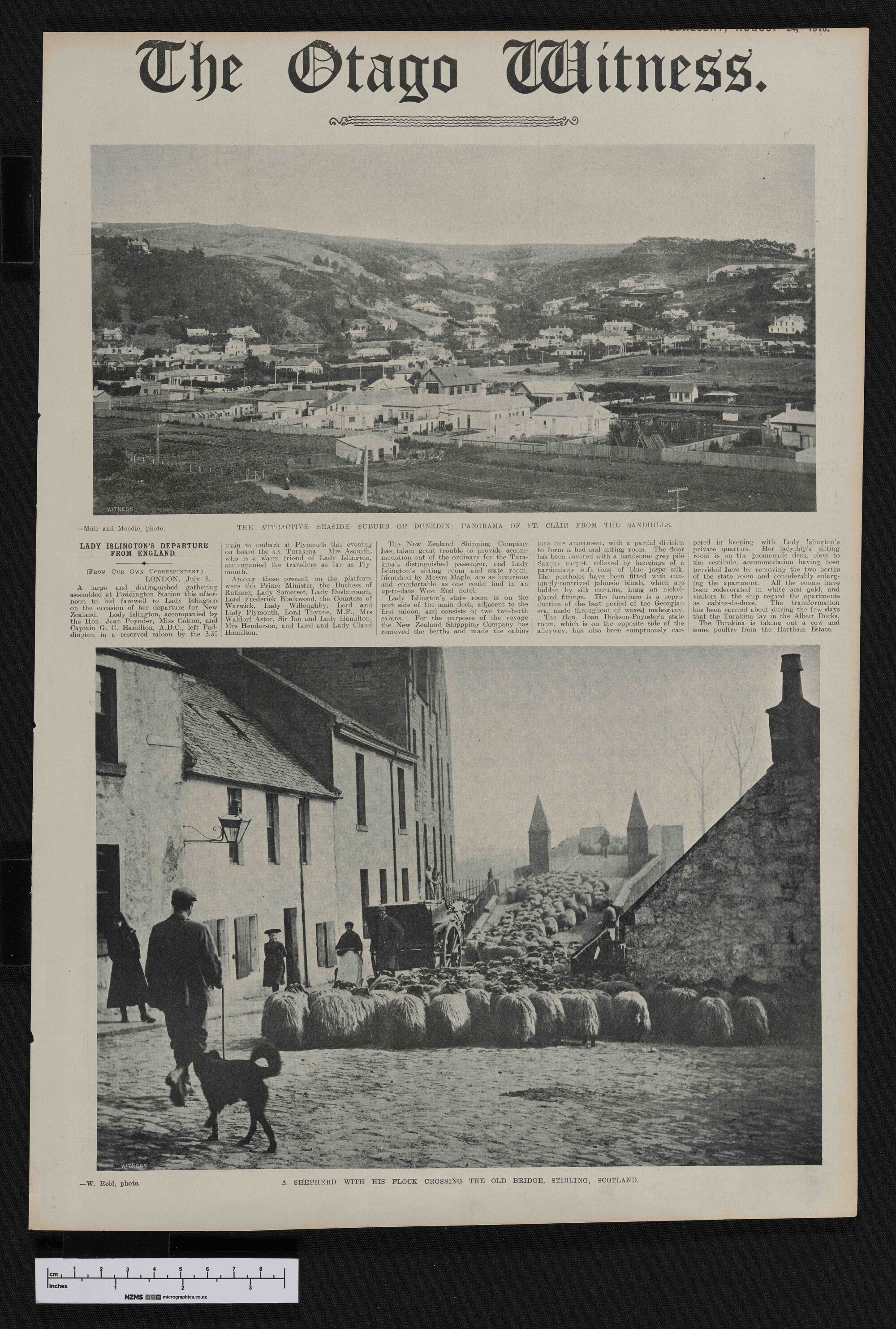 1910-08-24 Otago Witness