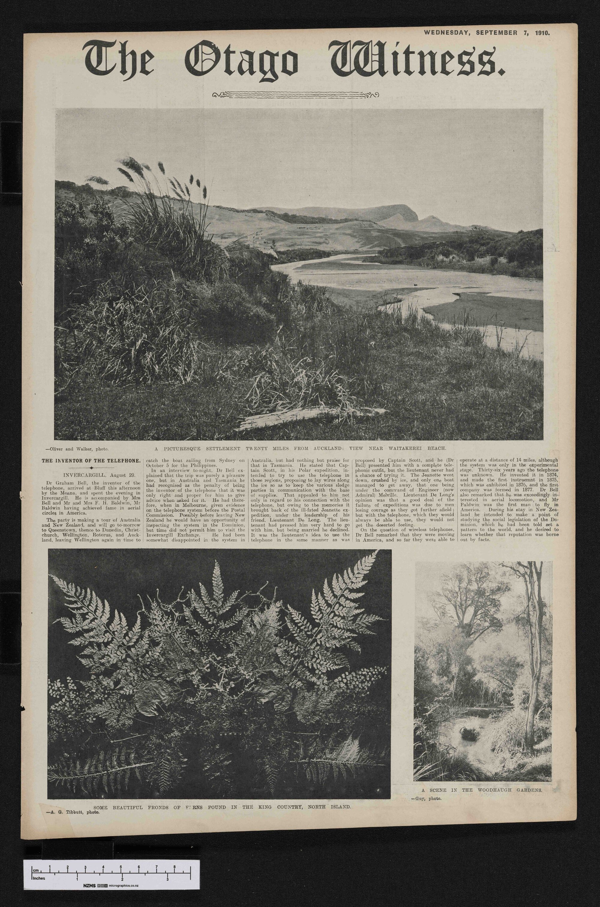 1910-09-07 Otago Witness