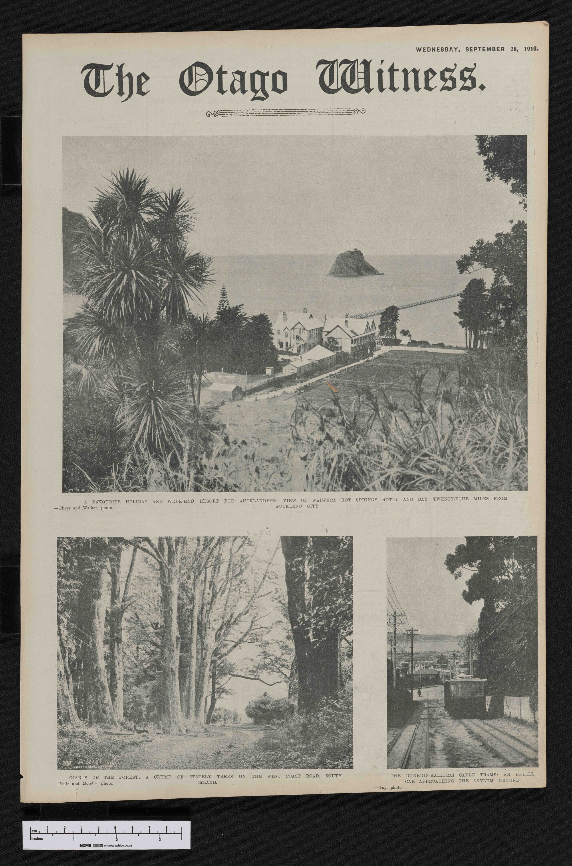 1910-09-28 Otago Witness