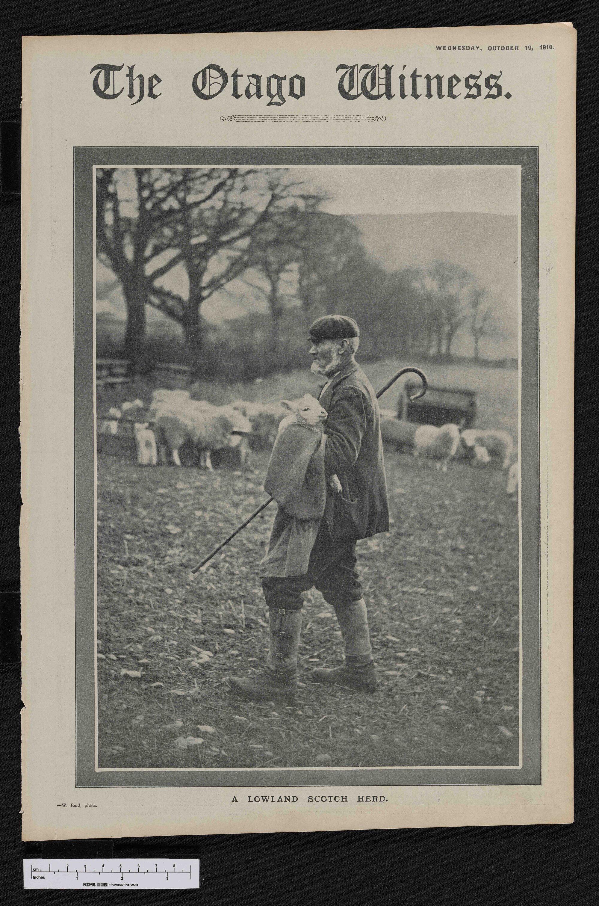 1910-10-19 Otago Witness