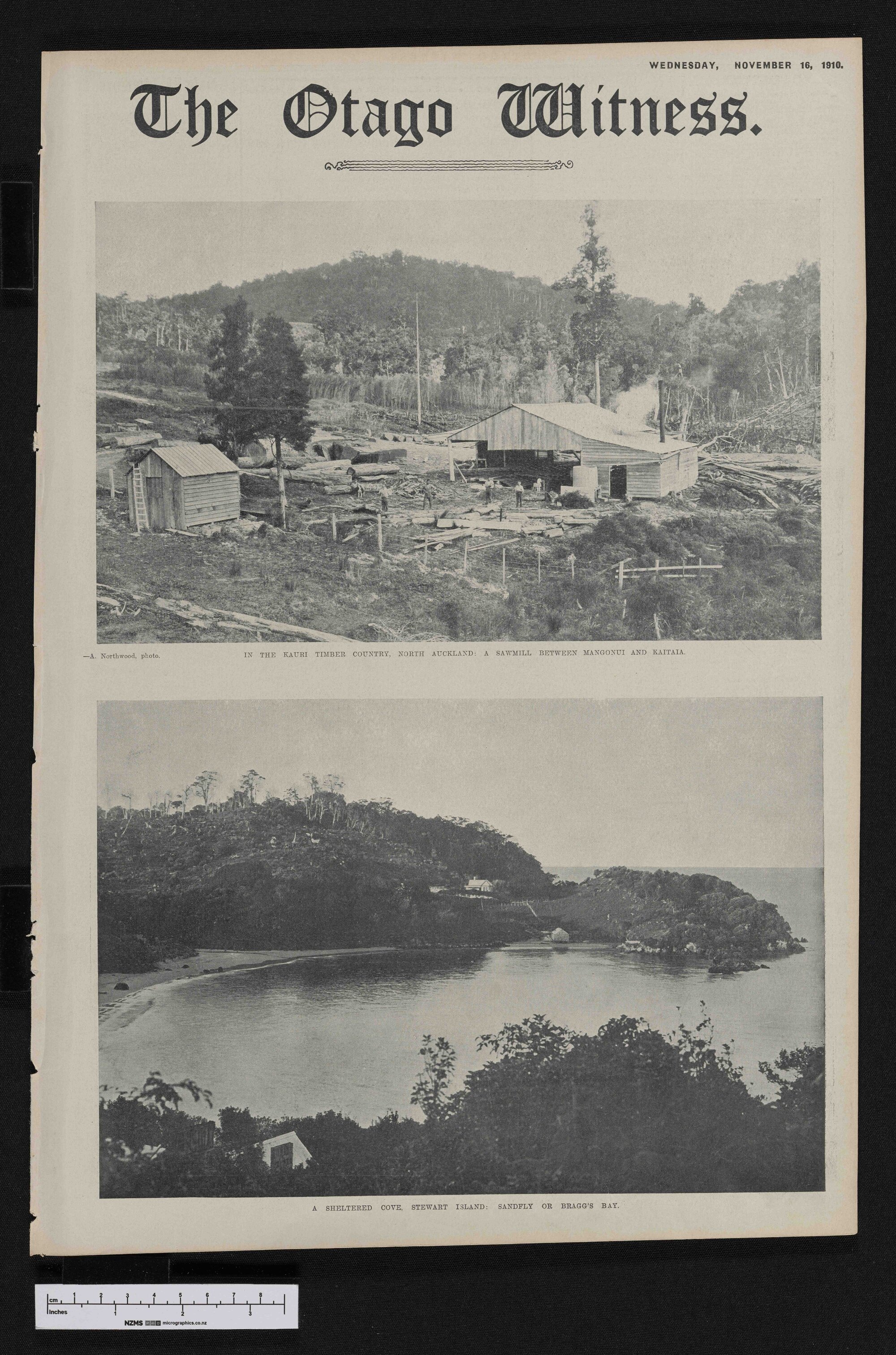 1910-11-16 Otago Witness