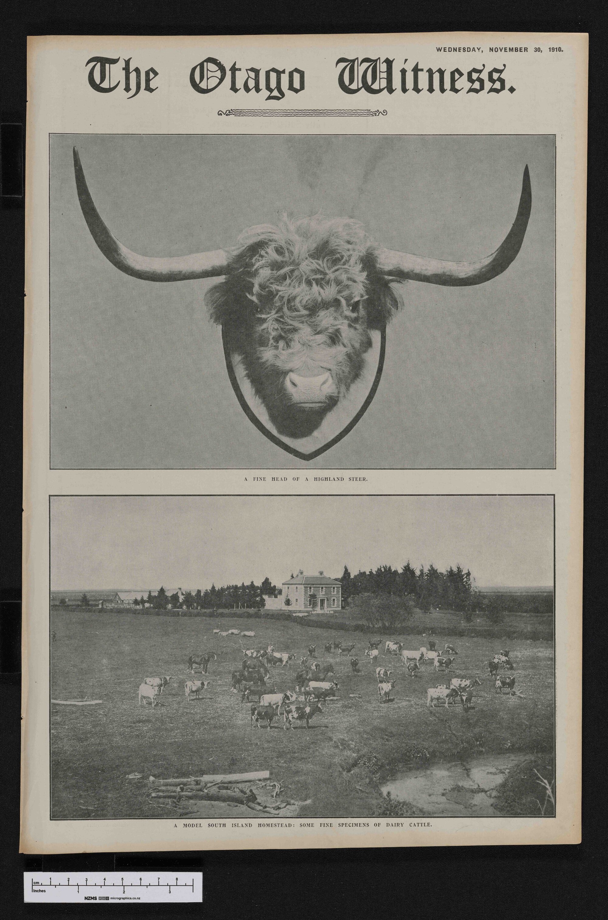 1910-11-30 Otago Witness