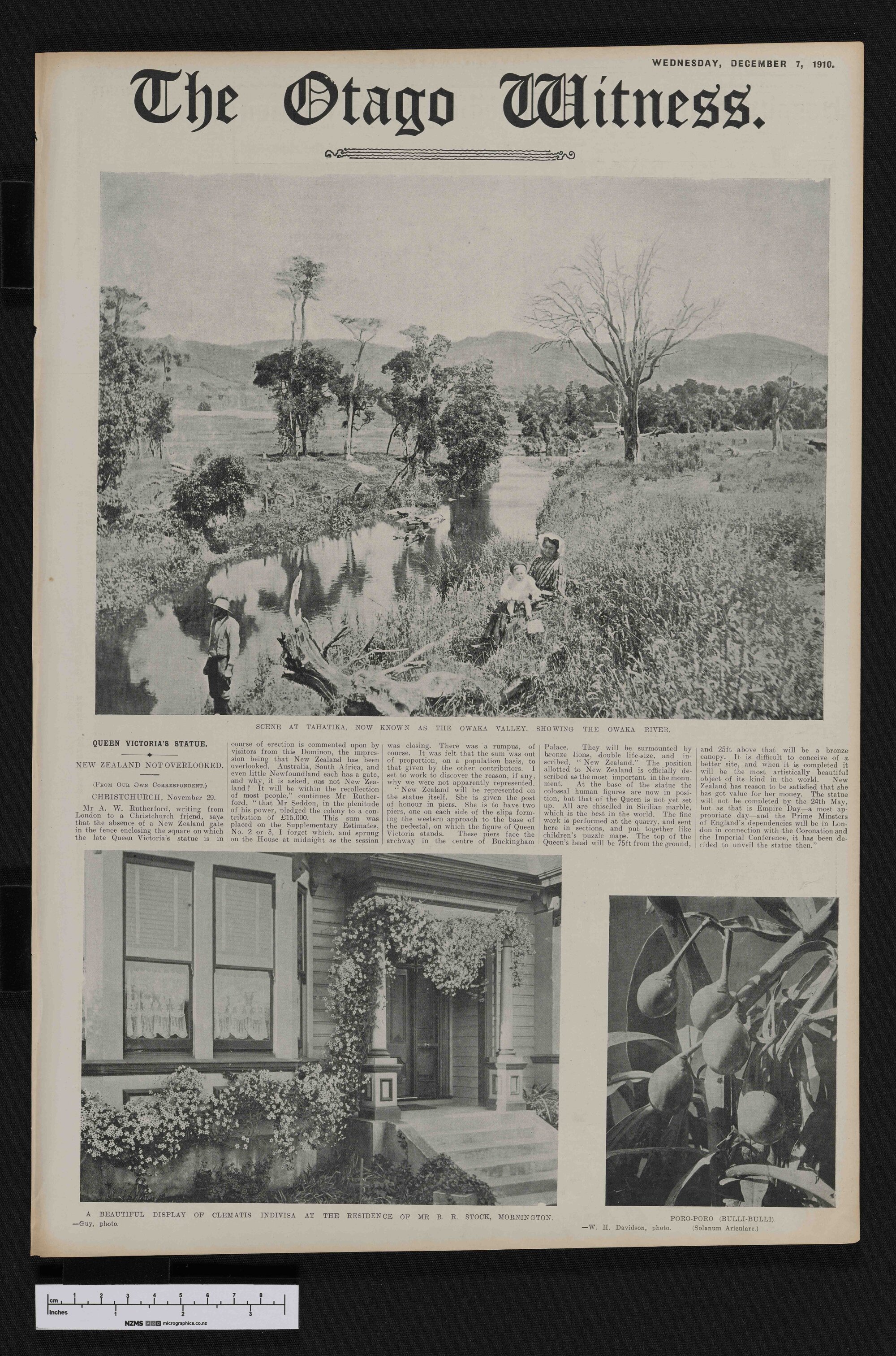 1910-12-07 Otago Witness