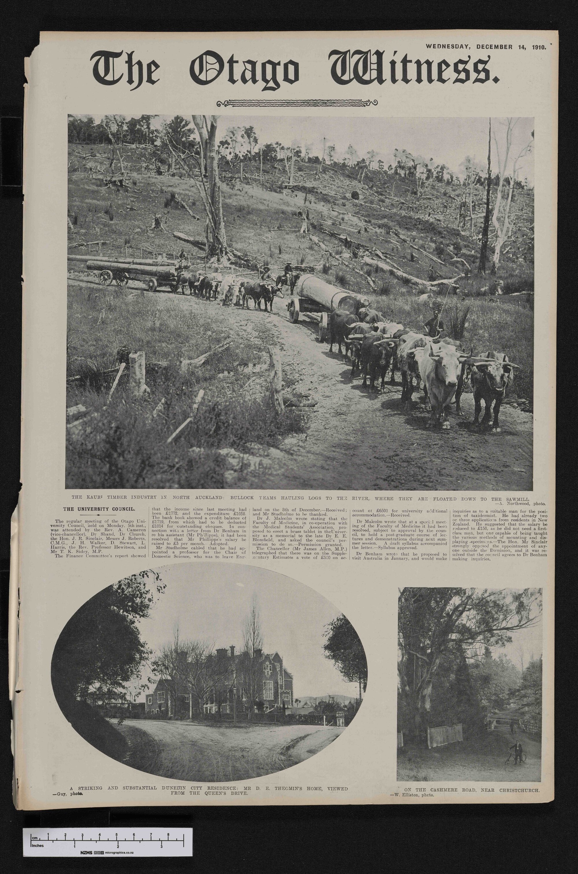 1910-12-14 Otago Witness