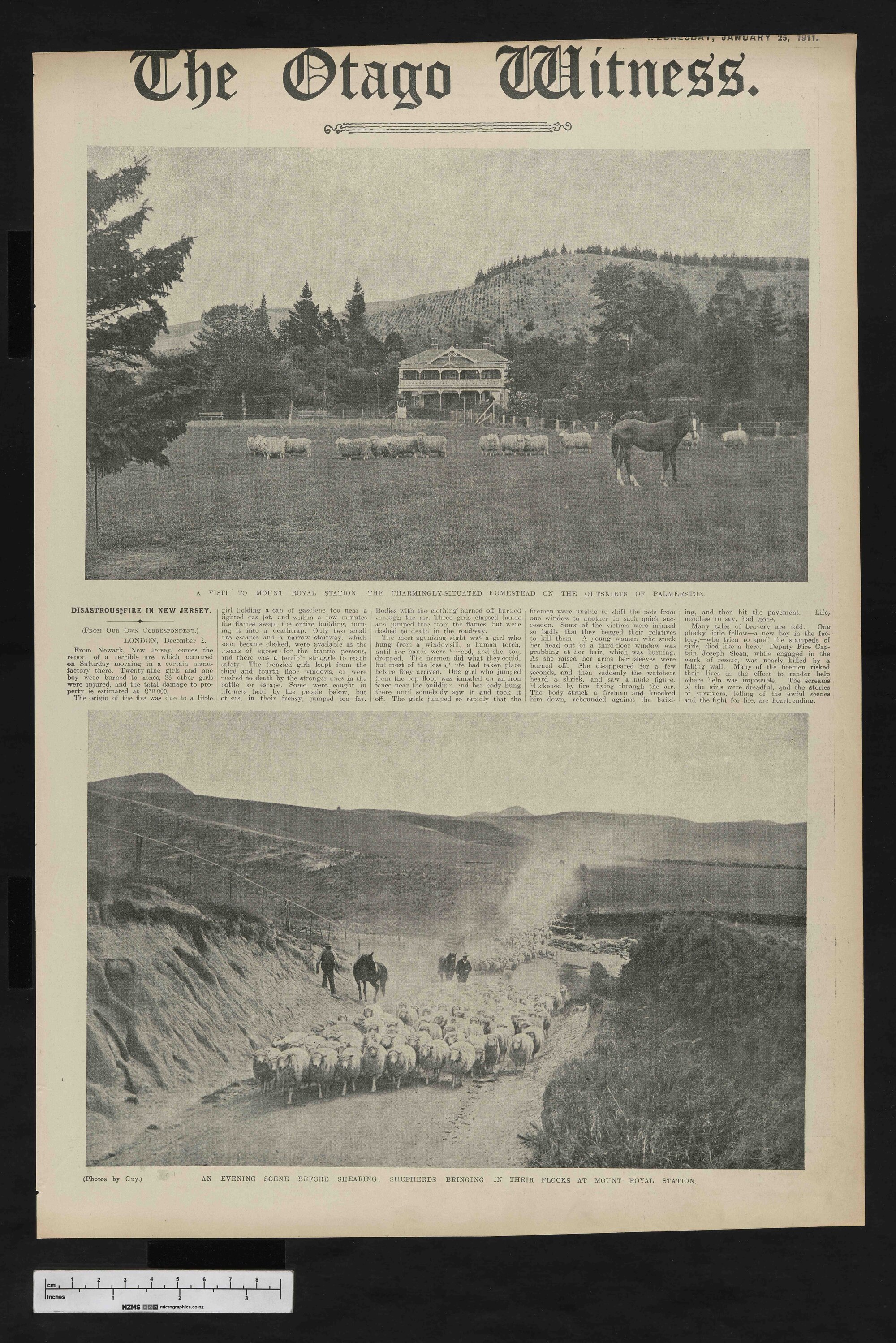 1911-01-25 Otago Witness