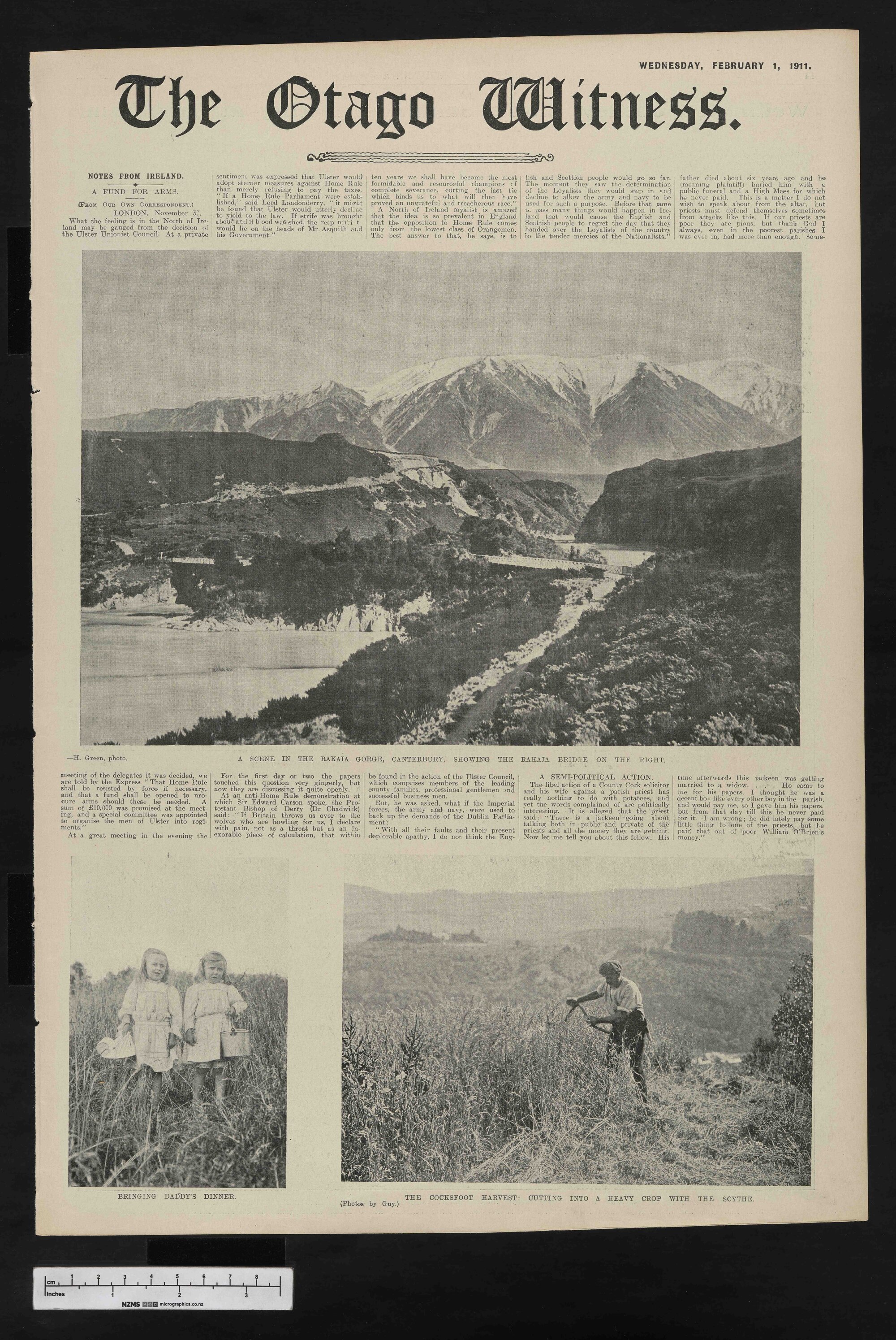 1911-02-01 Otago Witness