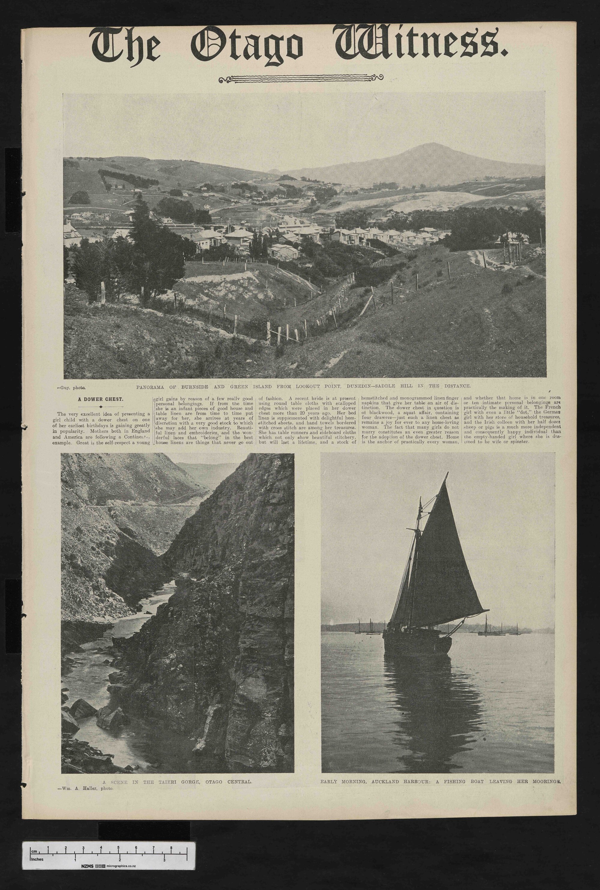 1911-03-08 Otago Witness