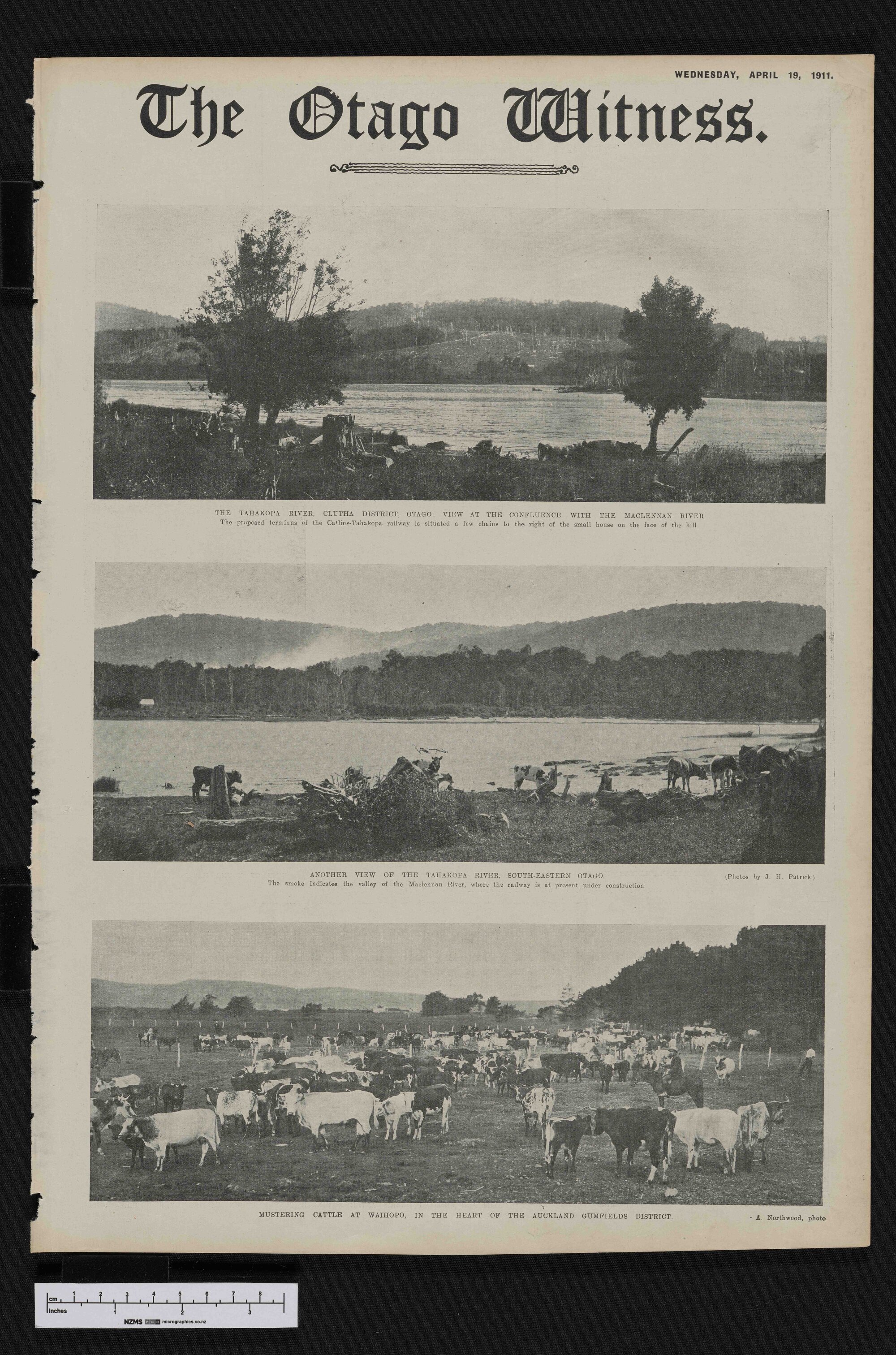 1911-04-19 Otago Witness