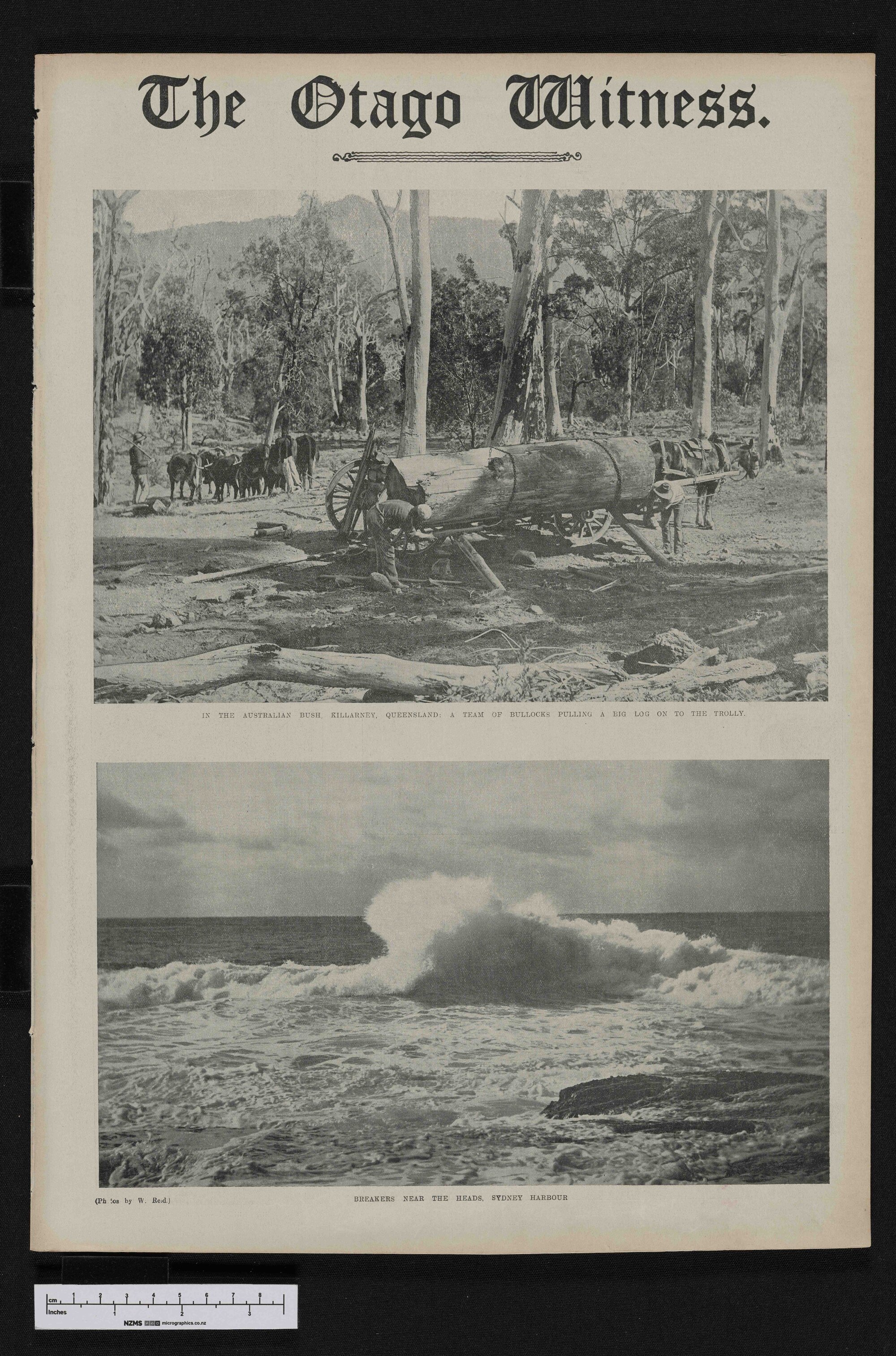 1911-05-24 Otago Witness