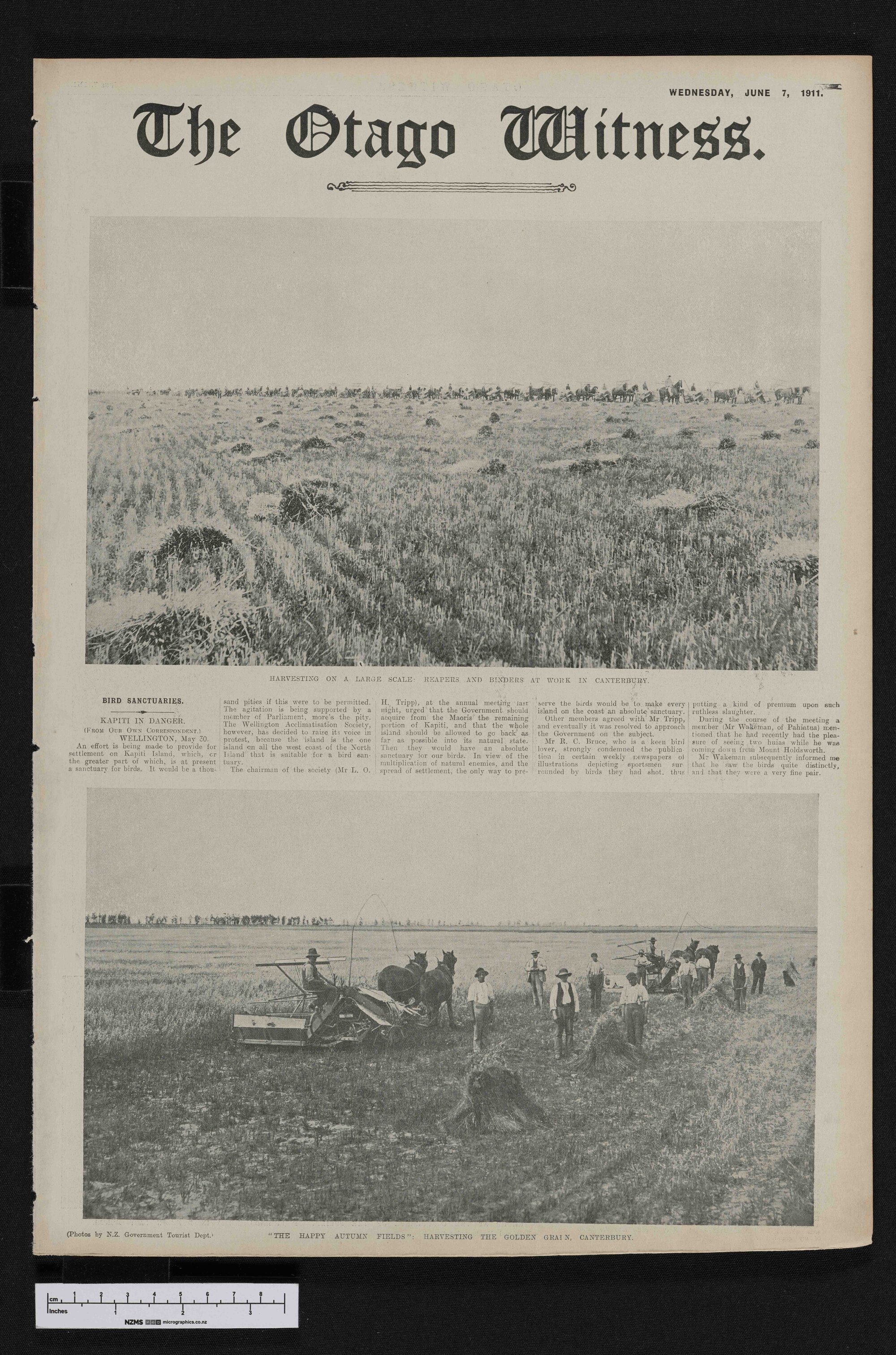 1911-06-07 Otago Witness