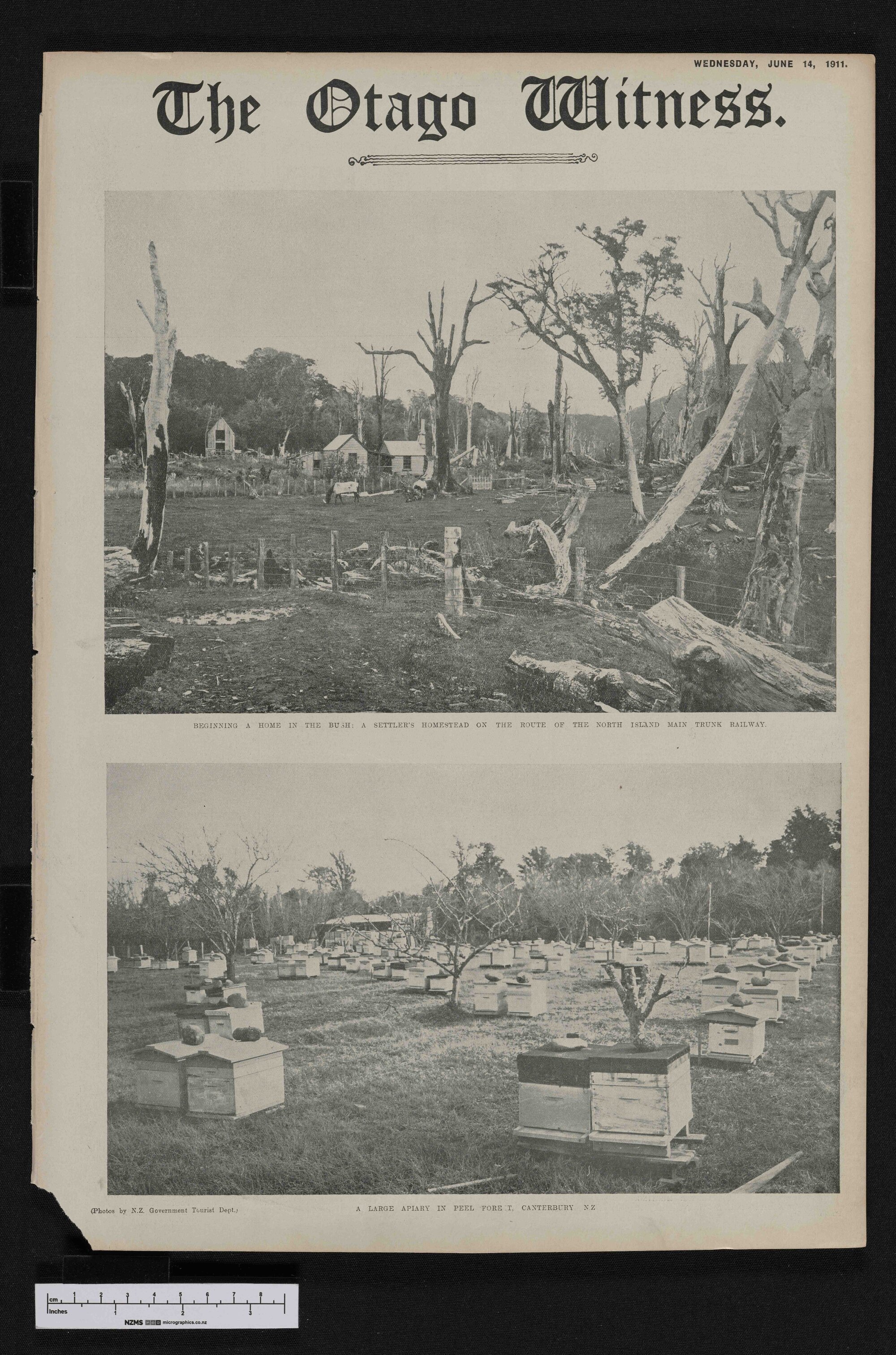 1911-06-14 Otago Witness