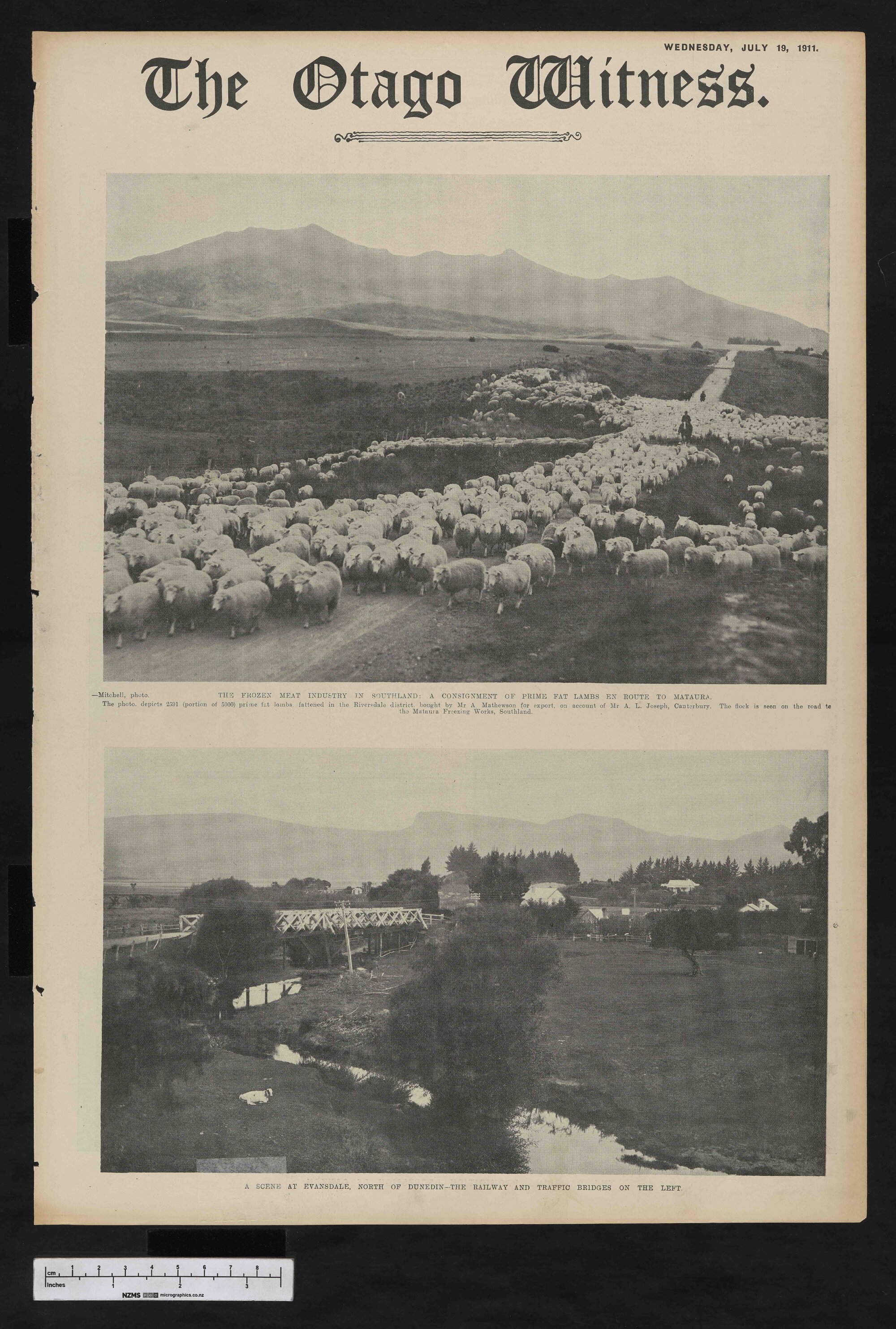 1911-07-19 Otago Witness