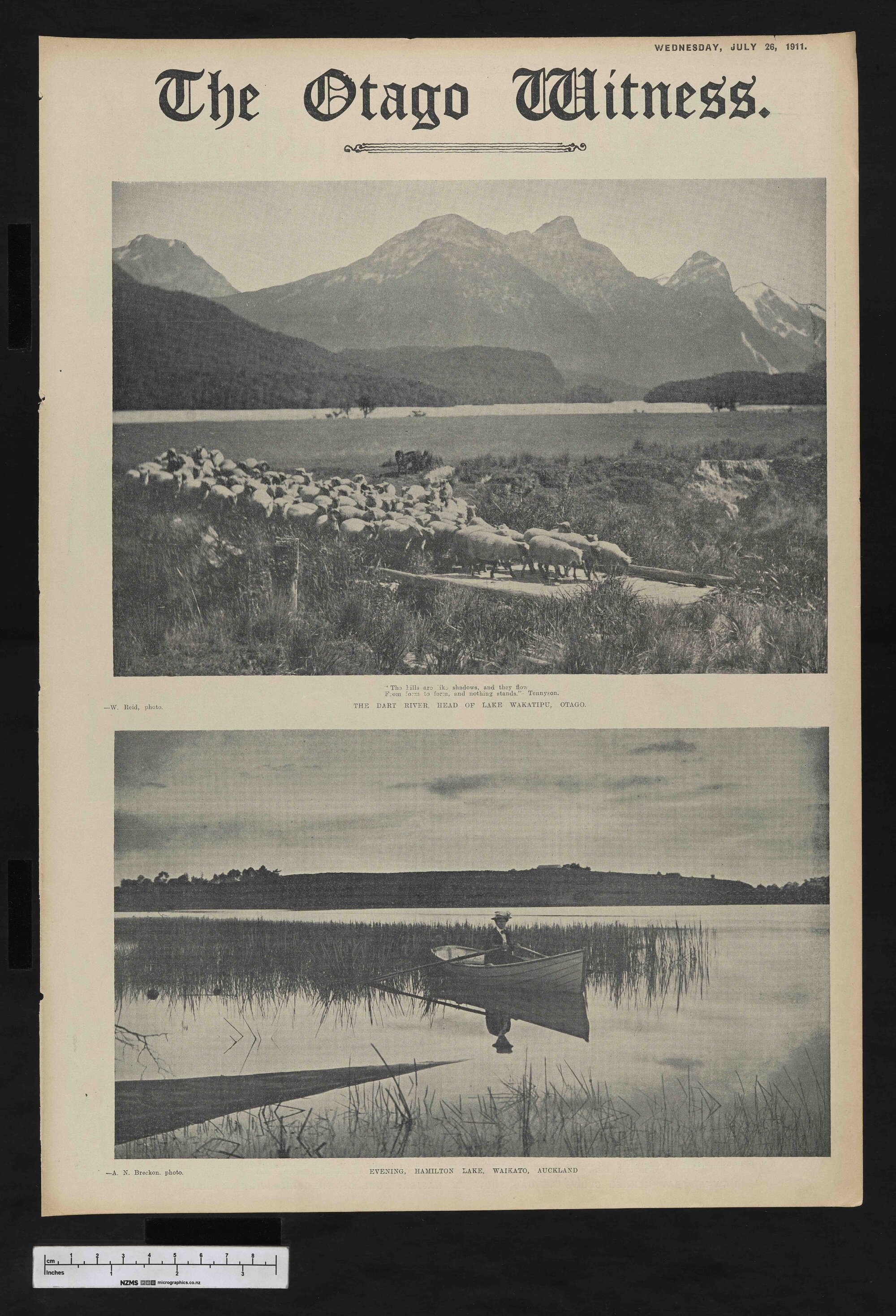 1911-07-26 Otago Witness