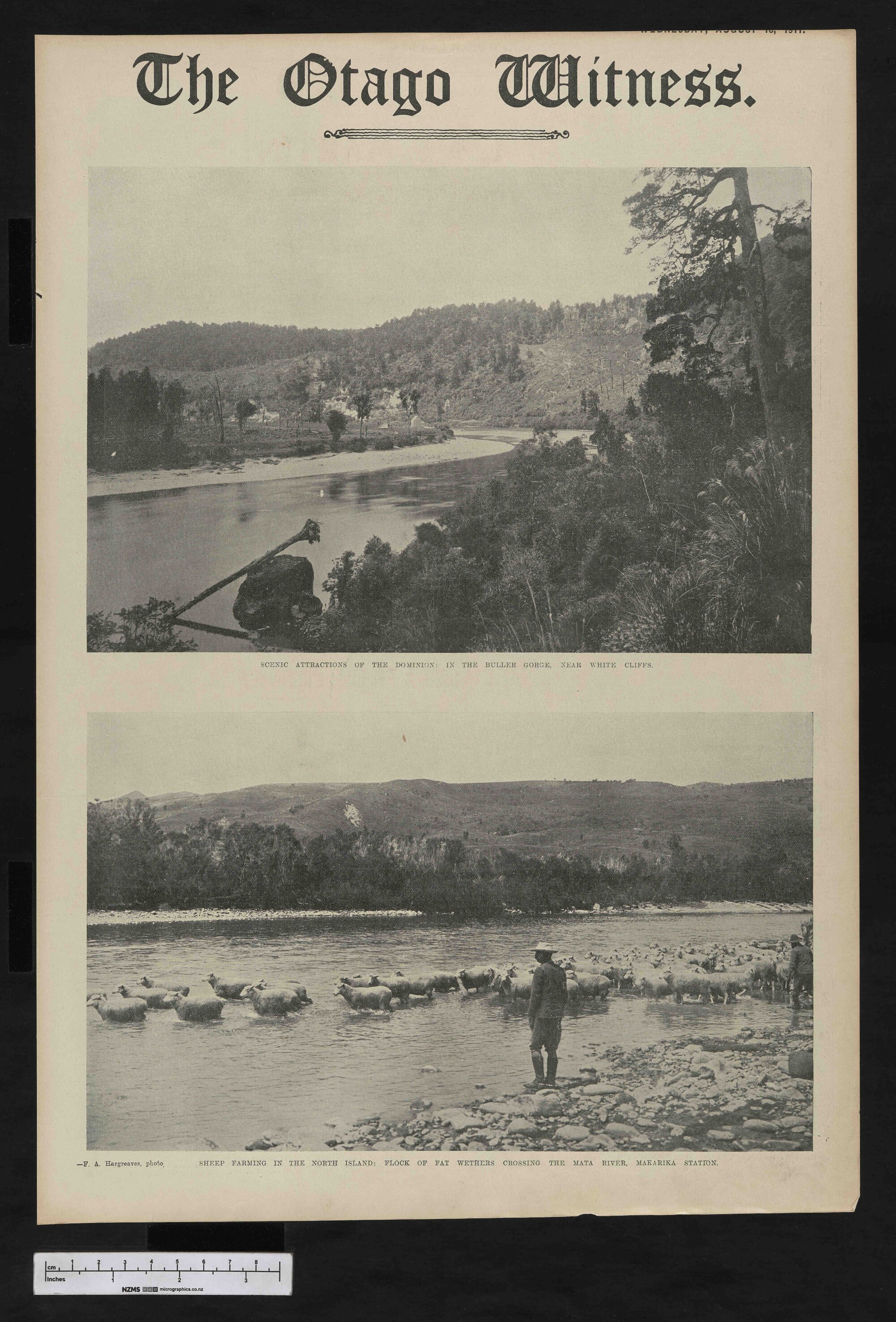 1911-08-16 Otago Witness